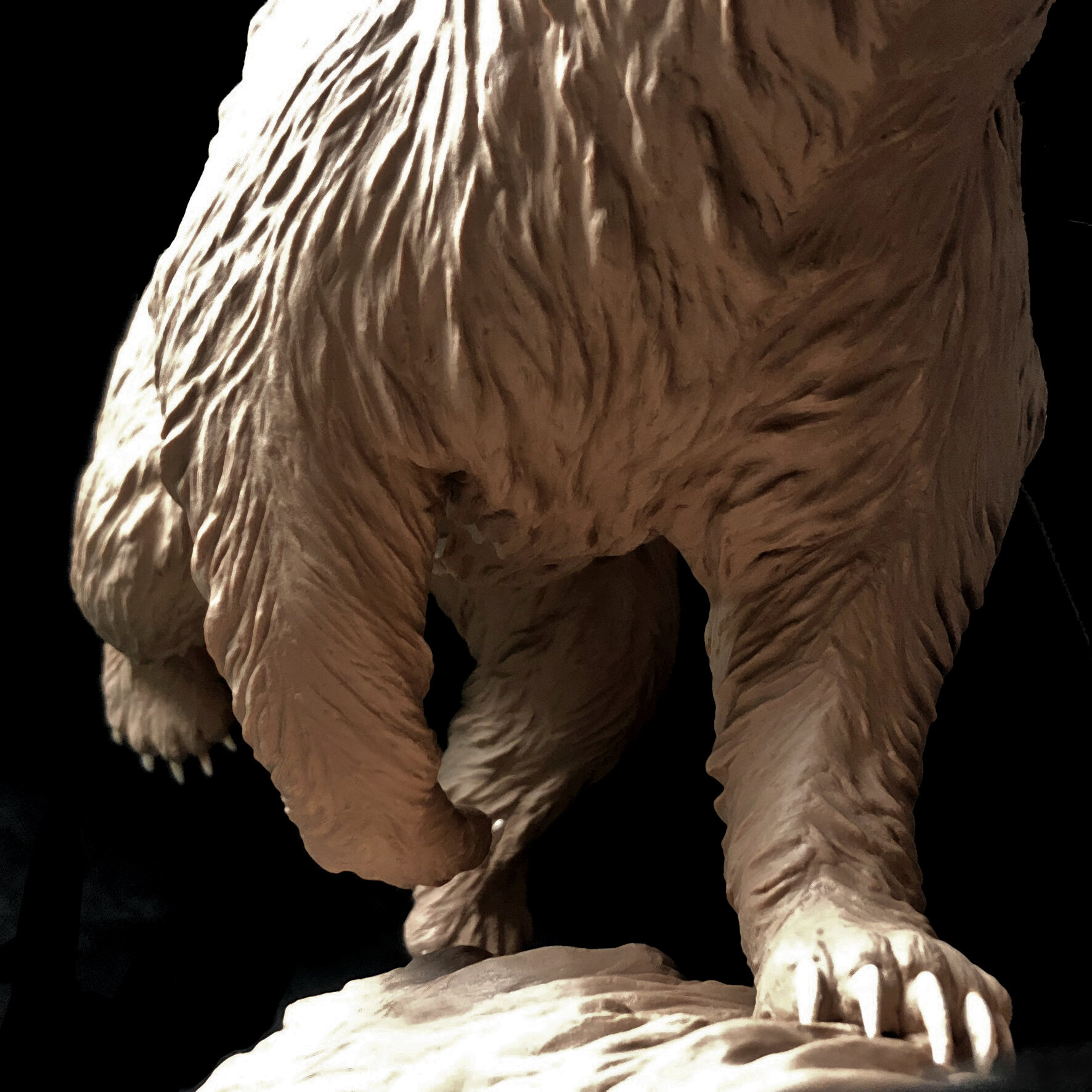 Bear Detail 4.jpg