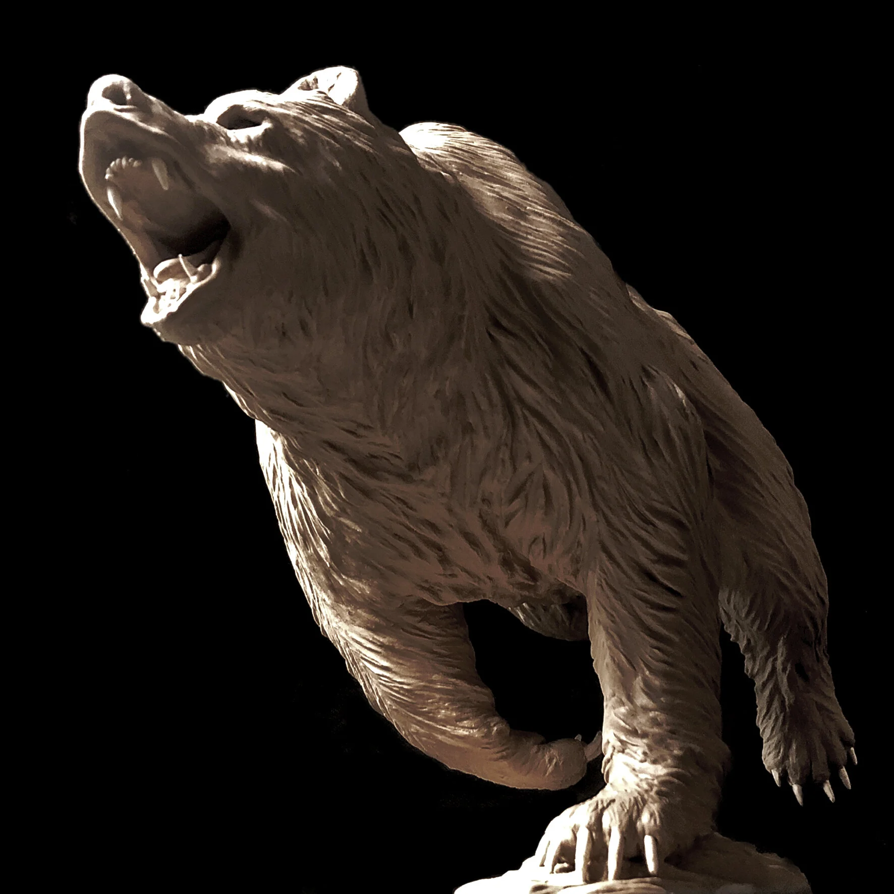 Bear 2.jpg
