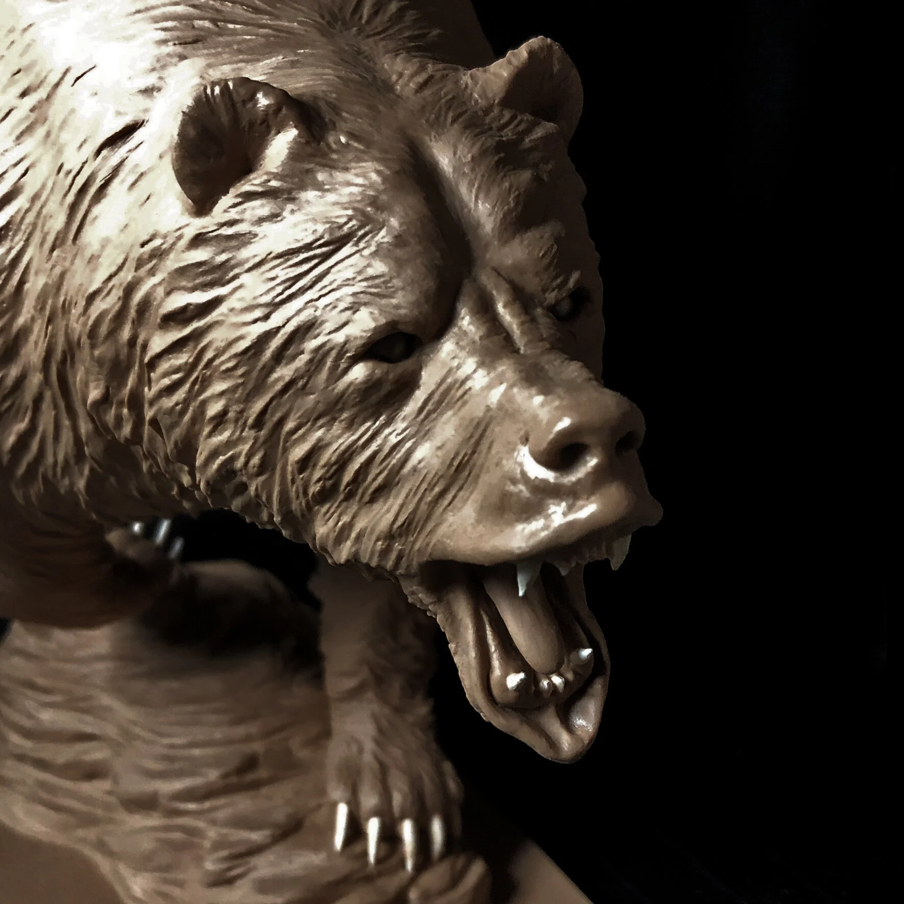 bear close up copy.jpg