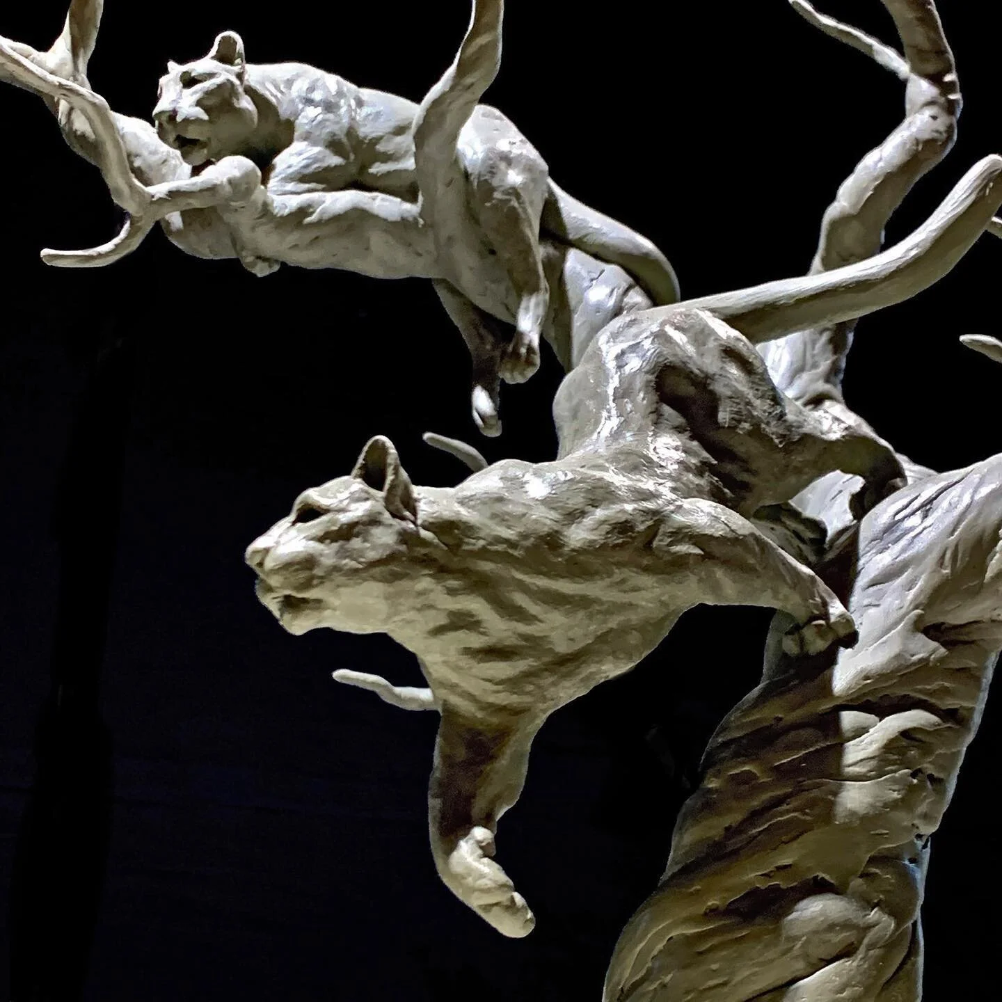A few detail shots of the big cat piece. .
.
Chavant NSP (Hard)
.
.
.
.
#cougar #mountainlion #treesculpture #tigerking #chavantclay #fuckcarolebaskin #tiger #bigcat #animalsculpture #claymodel #workinprogress #sculpturestudio #sculptureartist #sculp