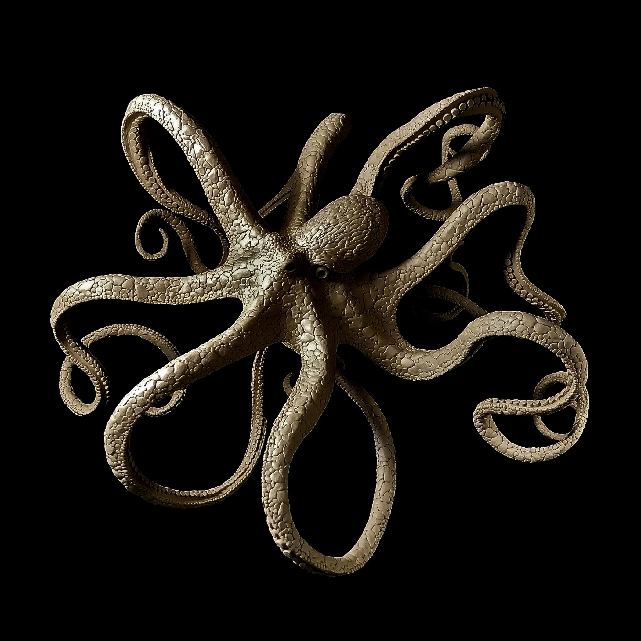 Octopus Full 2.jpg