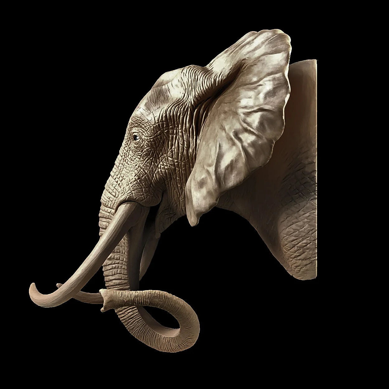Peter_Thomas_Art - 3 Elephant Bust Side.jpg