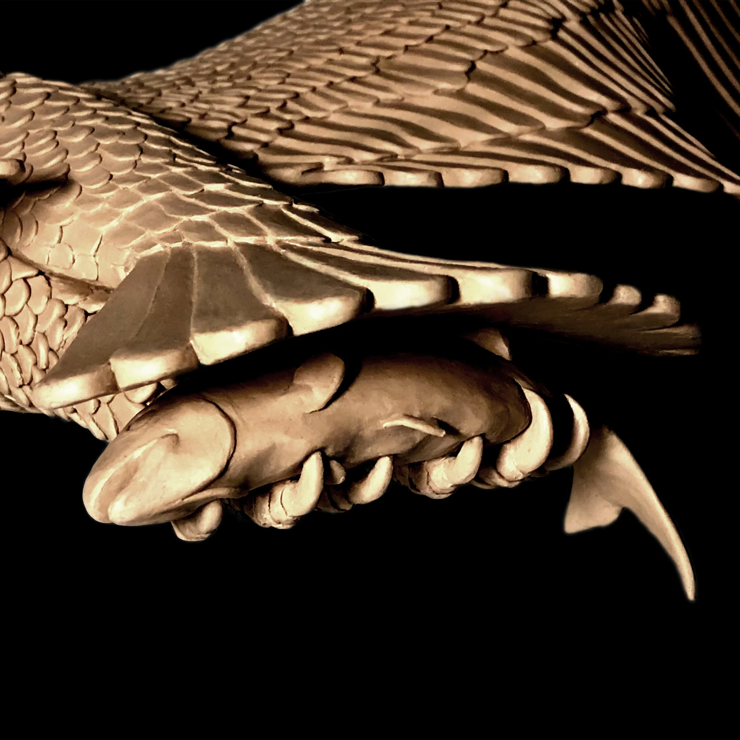 Peter_Thomas_Art - Eagle Detail 1.jpg