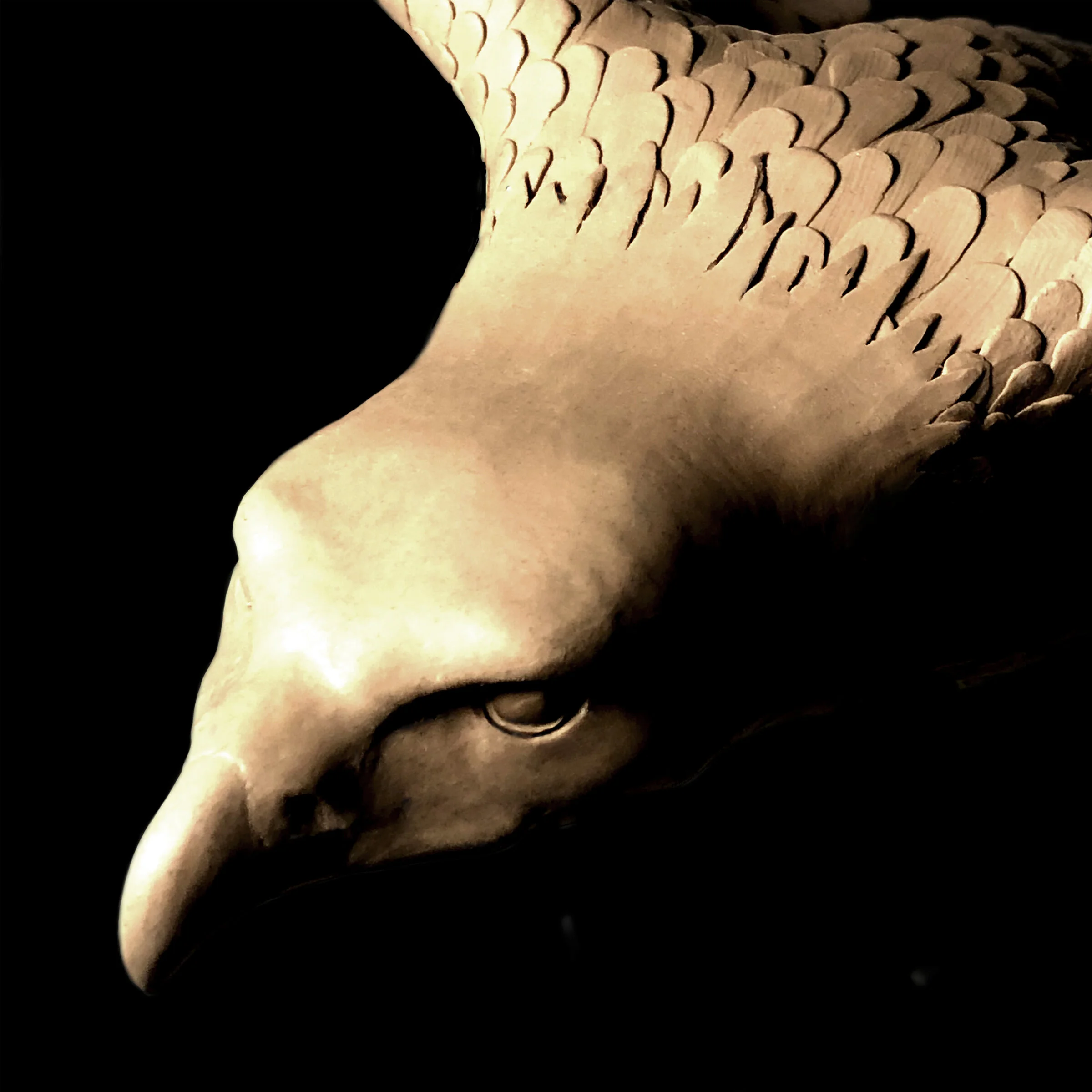 Peter_Thomas_Art - Eagle Detail 2.jpg