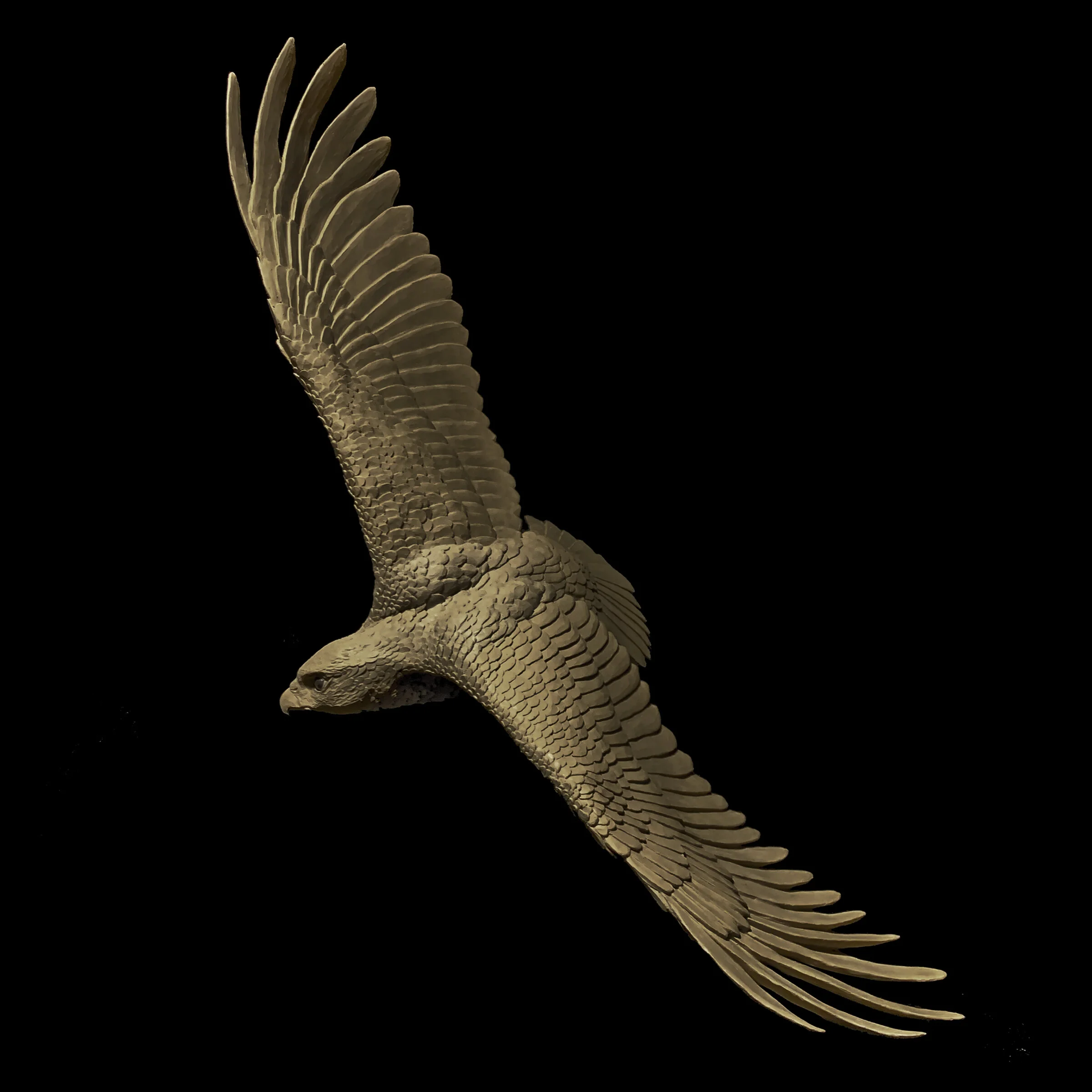 WINGS OF PREY — 2021 — BRONZE 3.jpg