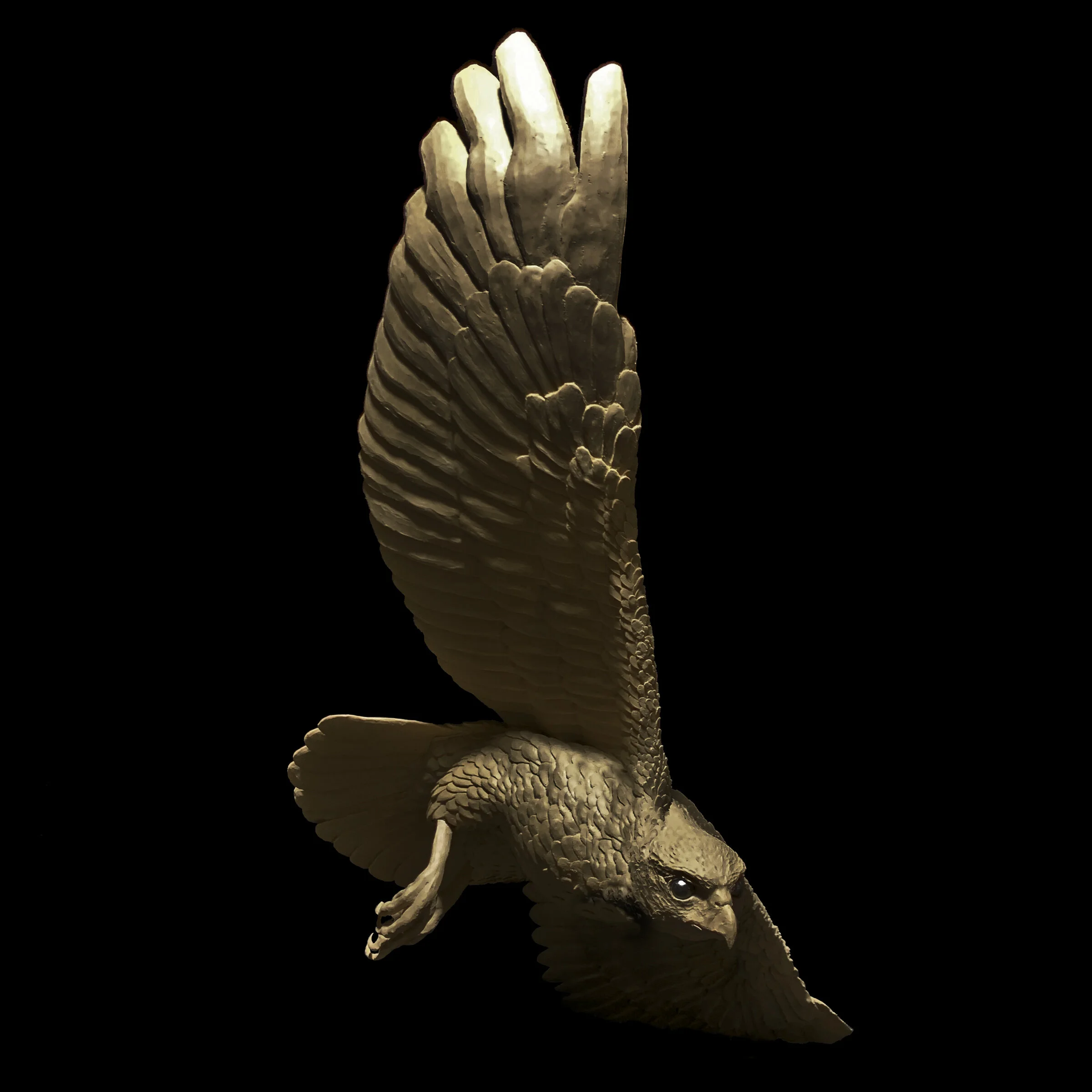 WINGS OF PREY — 2021 — BRONZE 1.jpg