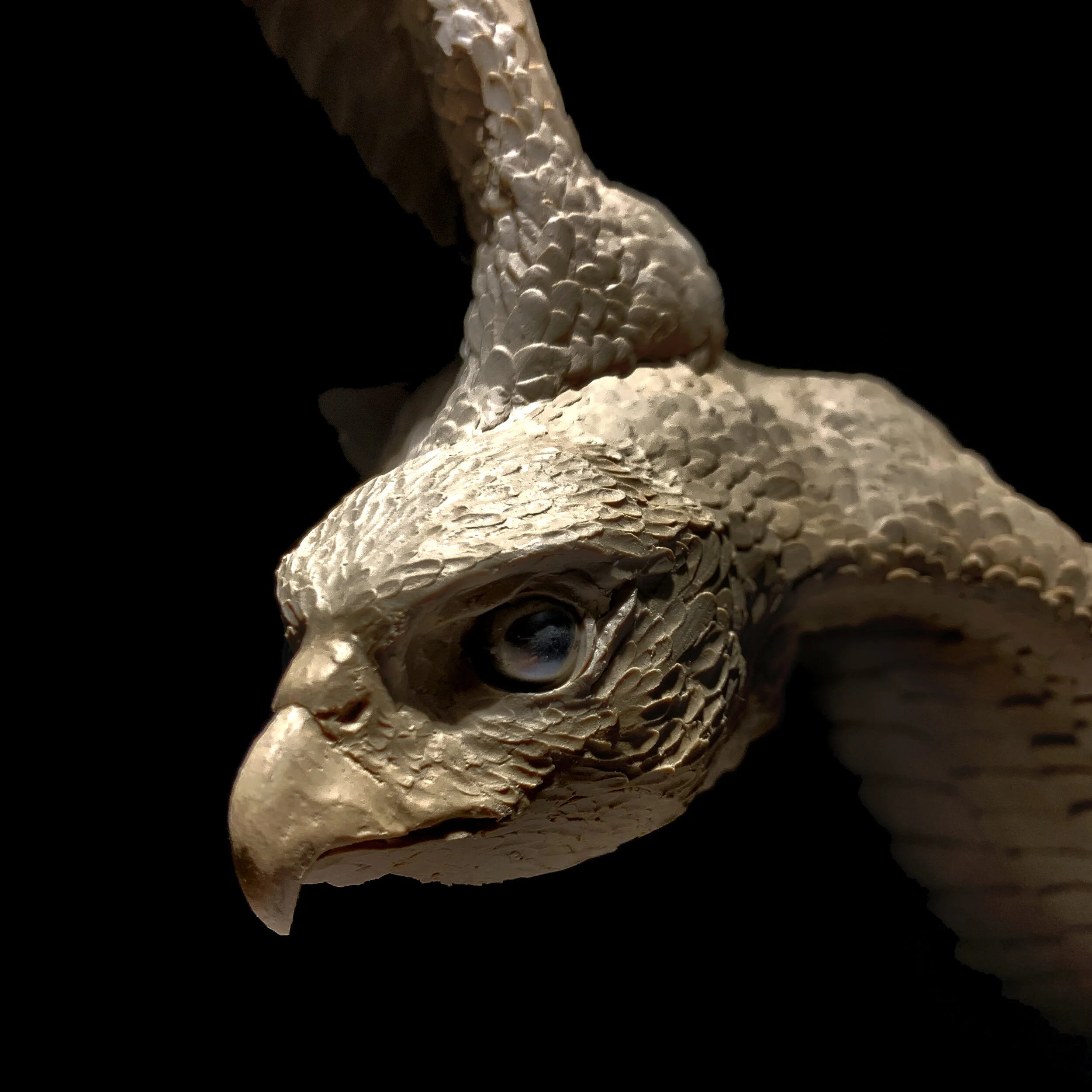 WINGS OF PREY — 2021 — BRONZE 2.3.jpg