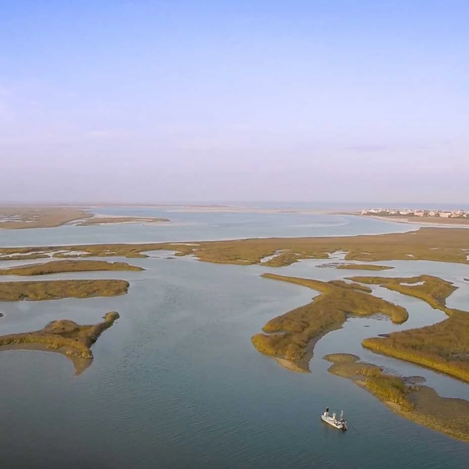 Meet Capt. Seth Vernon // Double Haul Guide Service