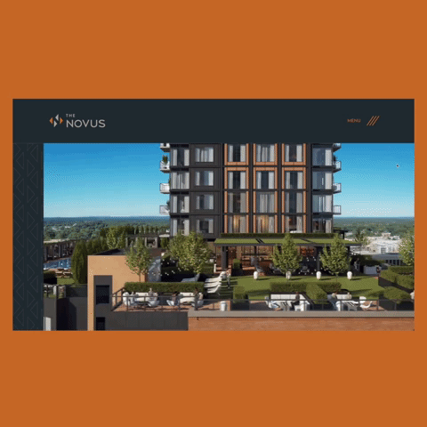 The Novus