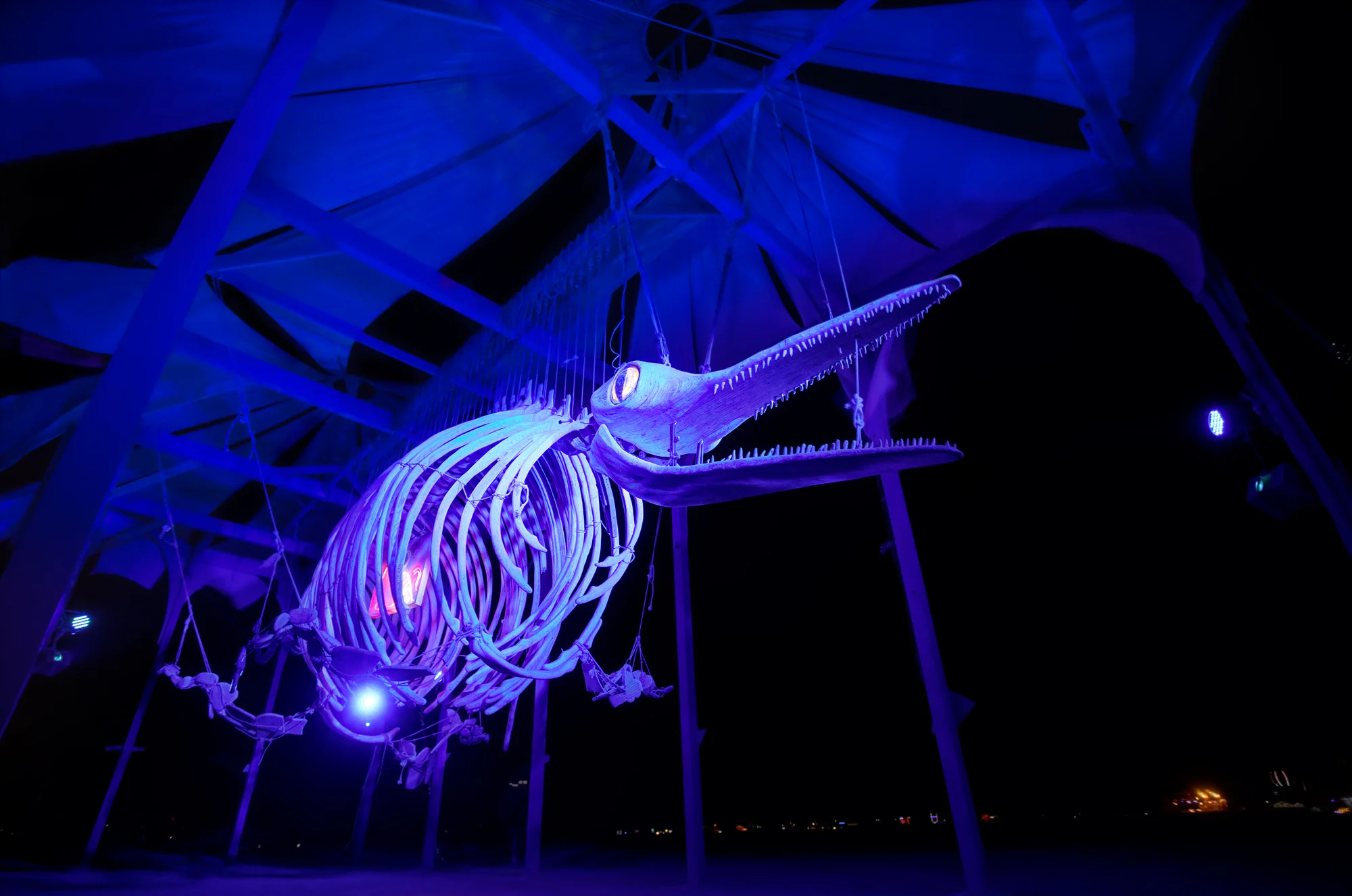 SkeletonAtNight.jpg
