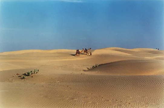 Sam Sand Dunes, Rajasthan, India