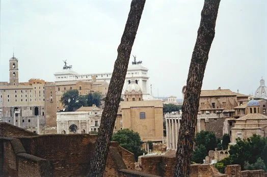 View through Trees #2, Rome, Italy