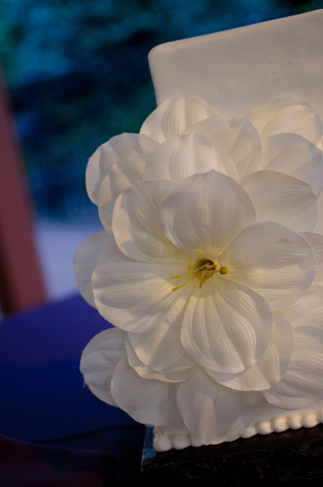 DSC_2177.jpg