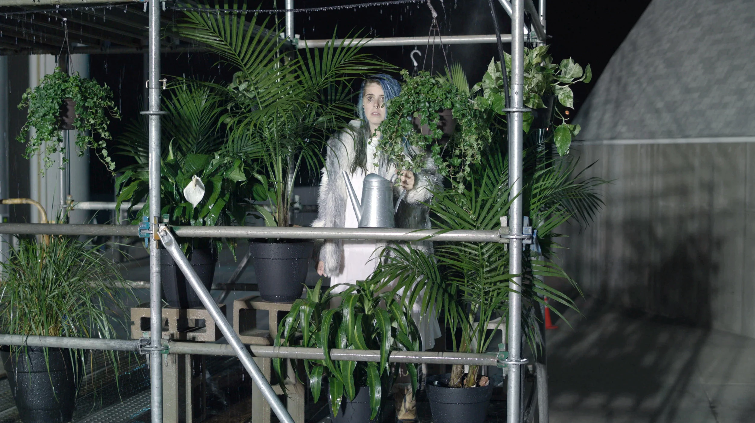 vid stills-9_ns.jpg