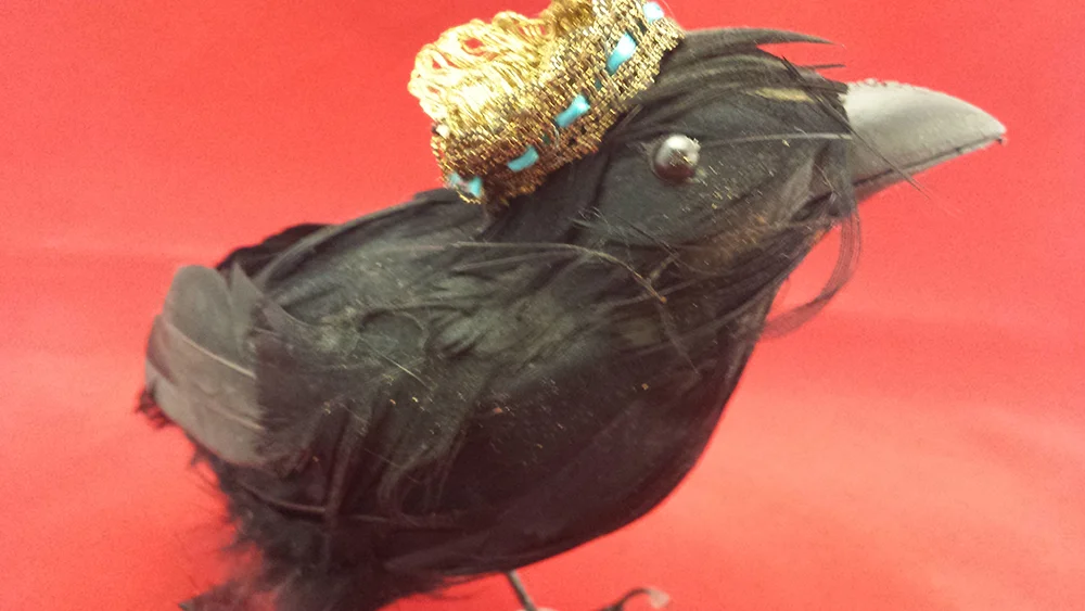 bird 1.jpg