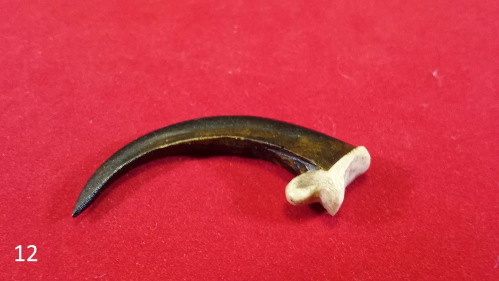 12 eagle claw.jpg