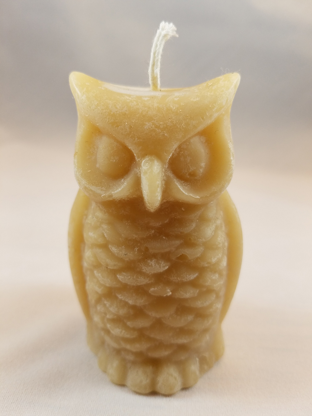 bees owl.jpg