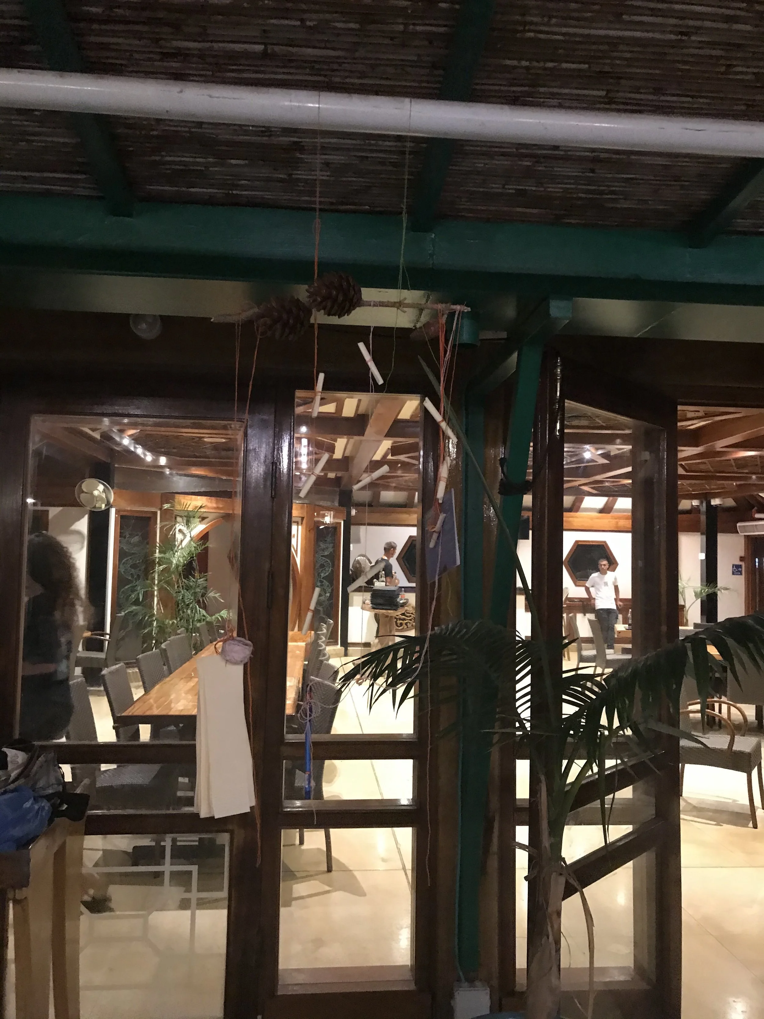 IMG_0263.jpeg