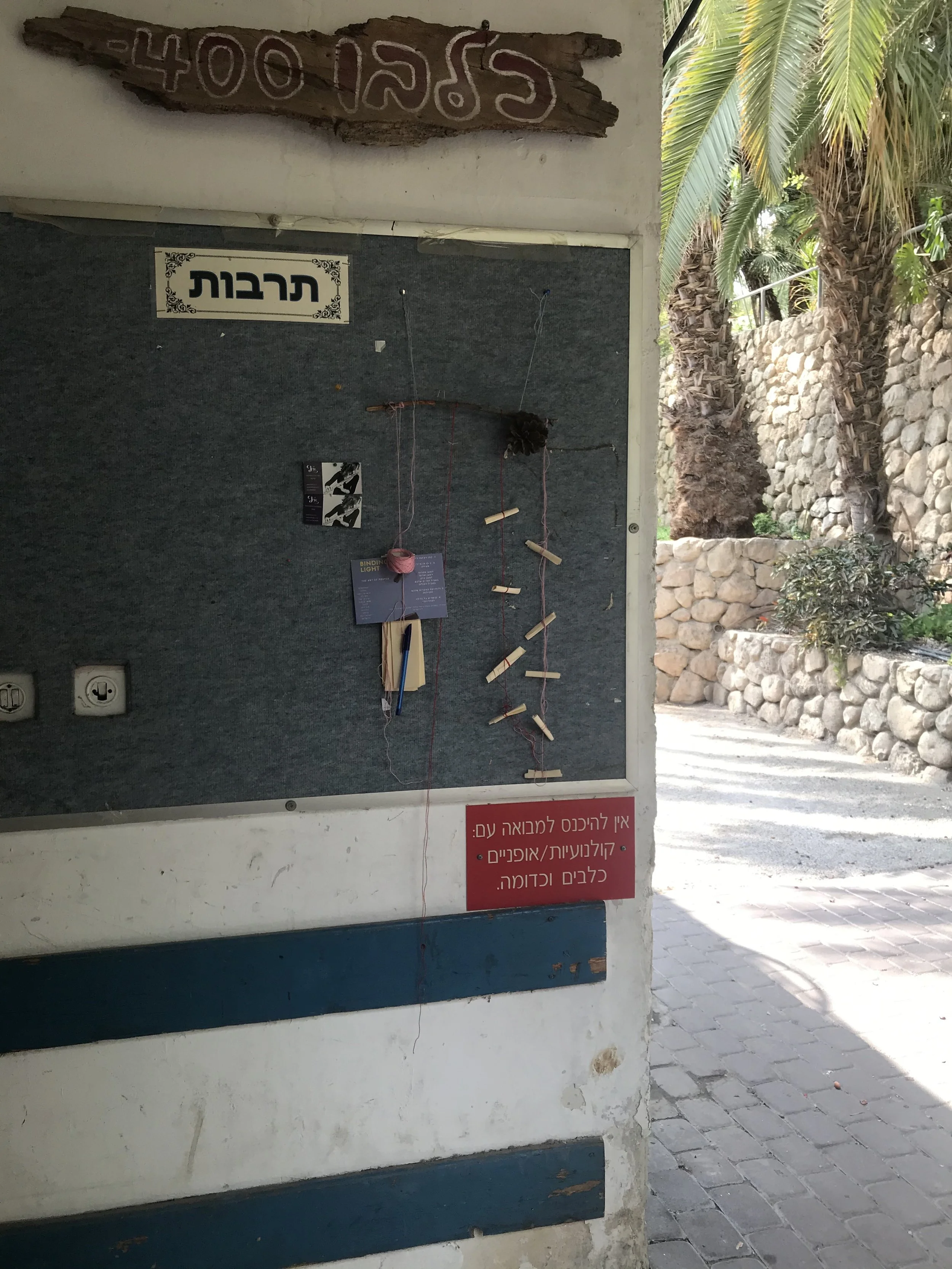 IMG_0348.jpeg