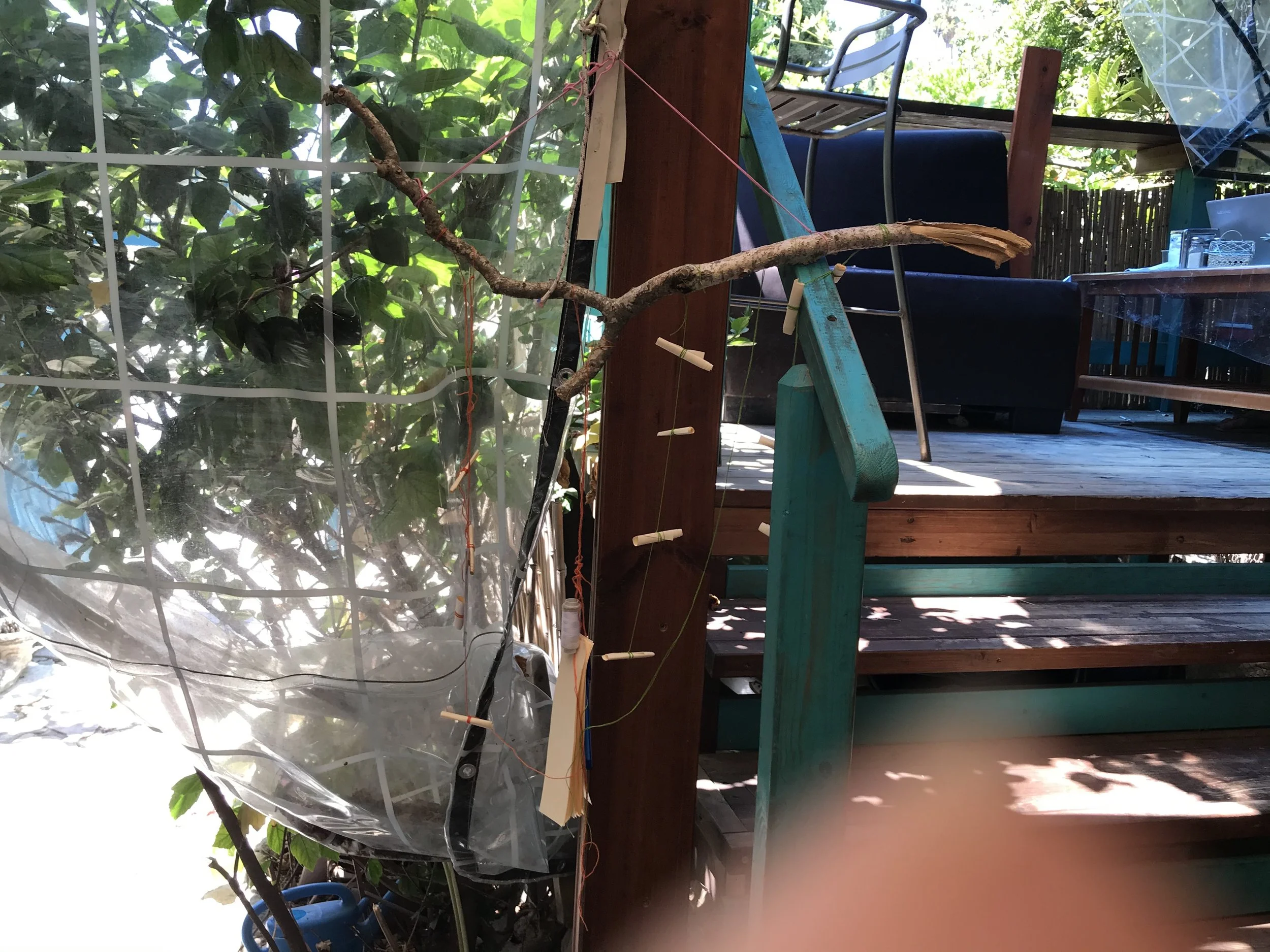IMG_0383.jpeg