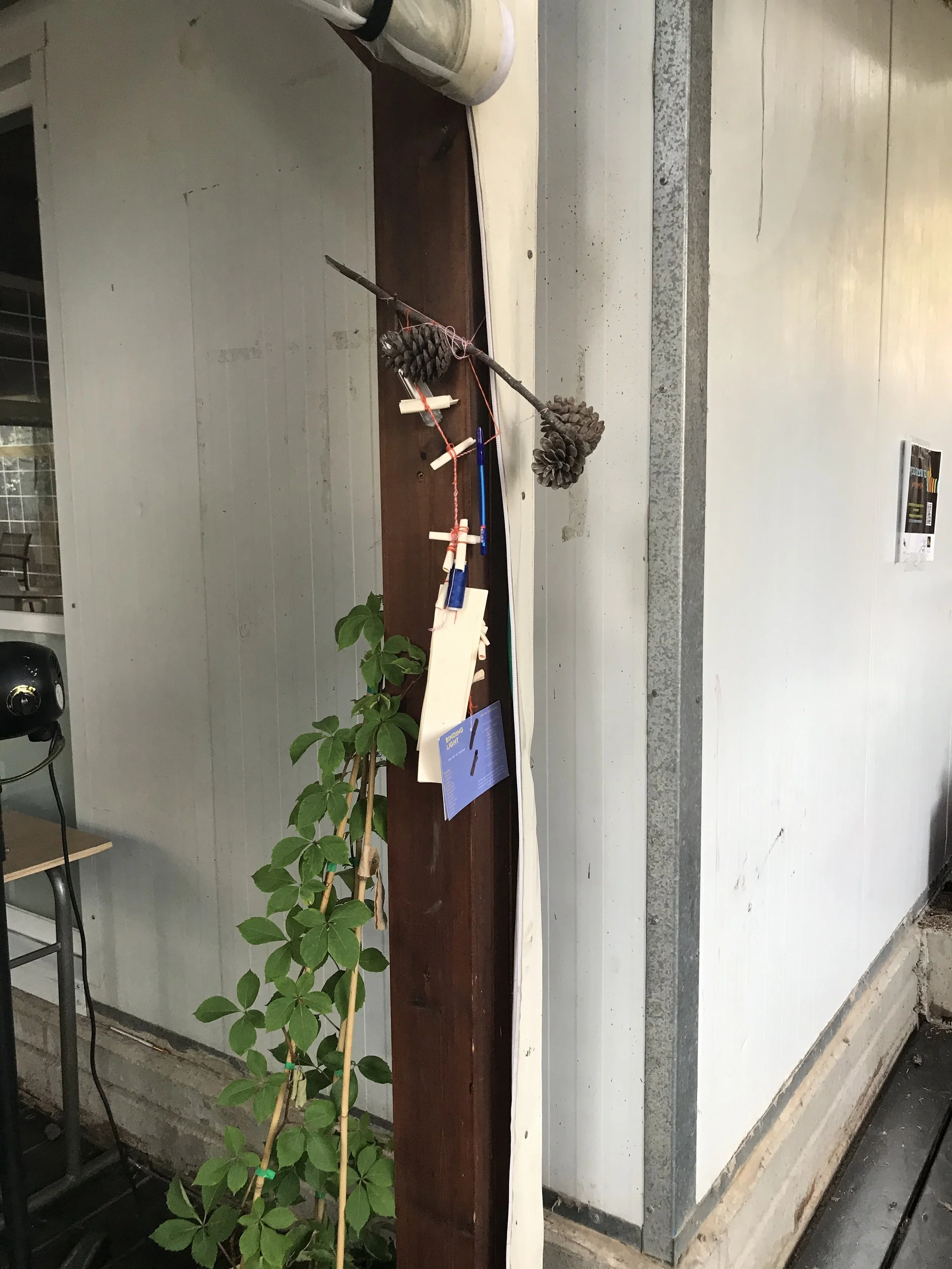IMG_0866.jpeg
