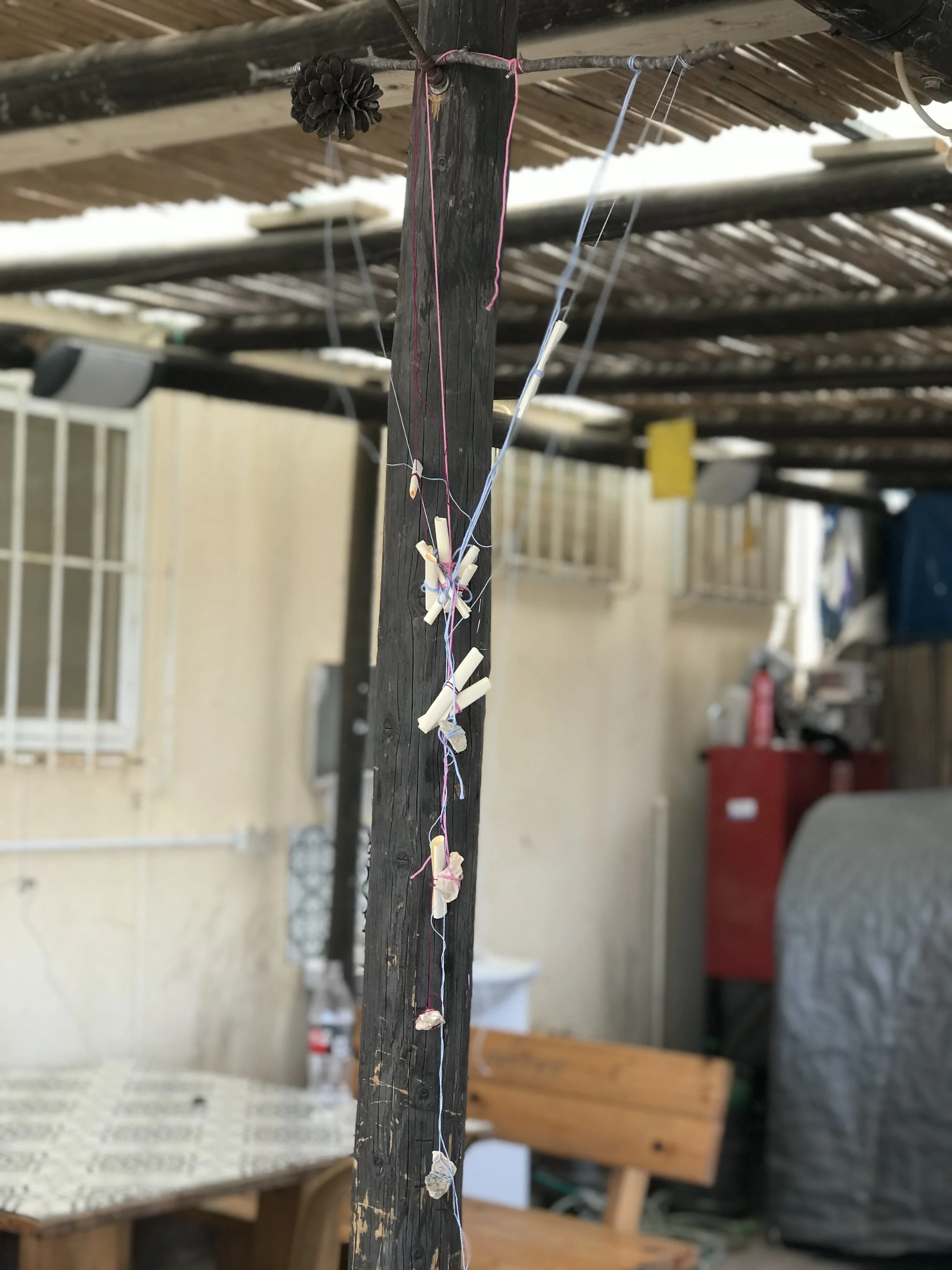 IMG_9355.jpeg