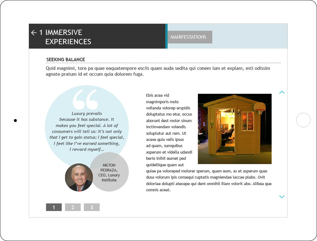 JWT_intelligence_ipad_app.2.178.jpg
