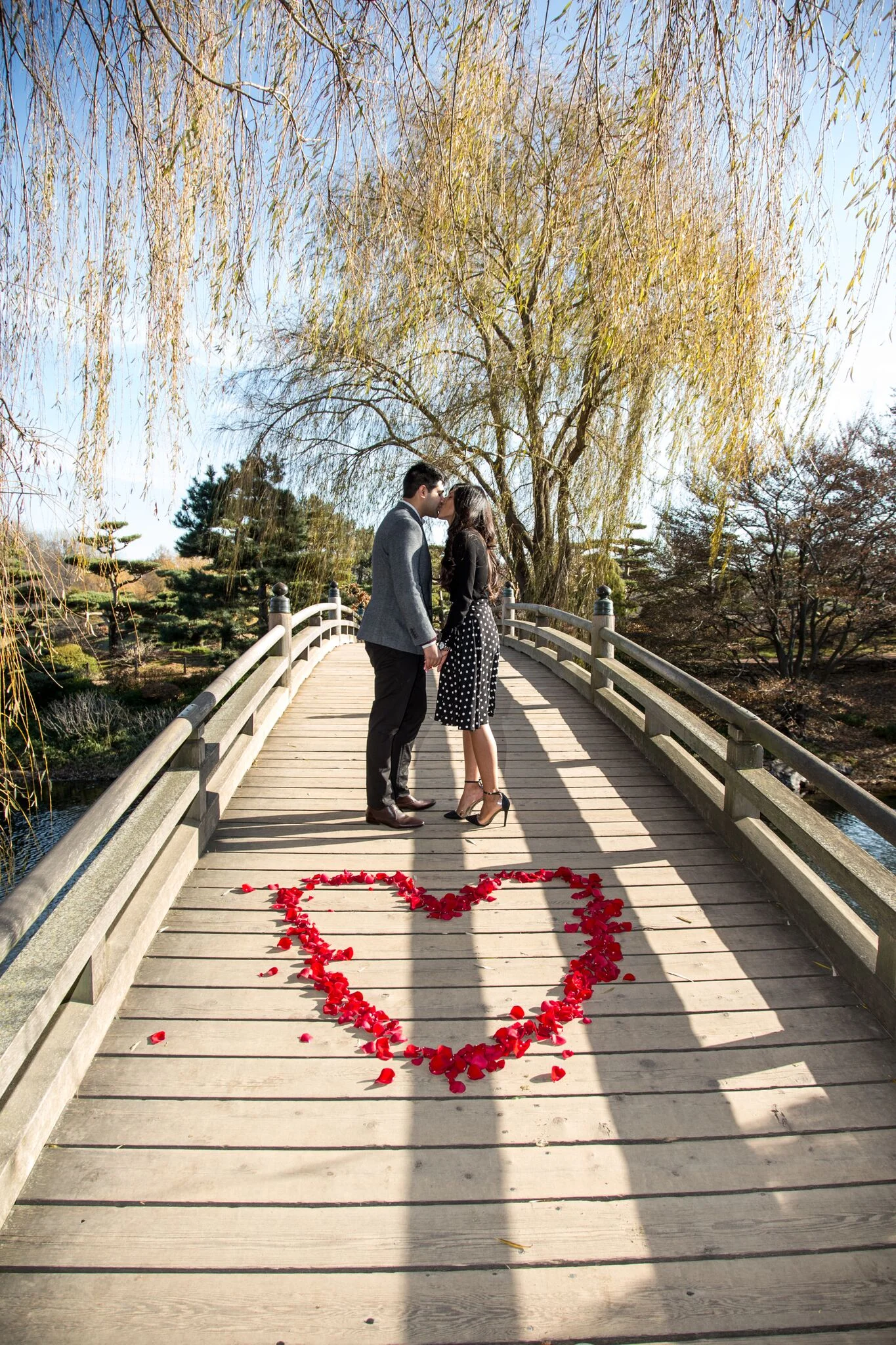 Chicago Proposal Photos in The Park. Azim &amp; Sharmin