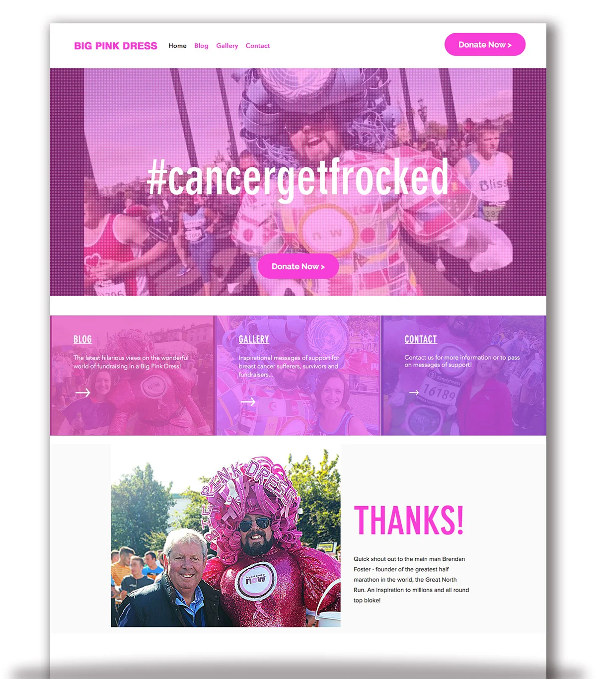 Big Pink Dress - website homepage - THAT Branding Company - Creative Design and Branding Agency in Newcastle and Gateshead.jpg