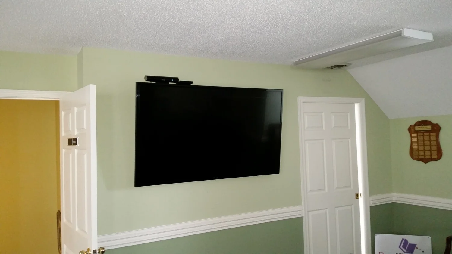 Skype Camera and 65 inch T.V install.