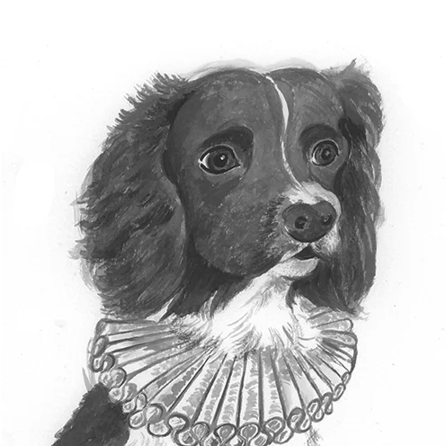 Mr Dog