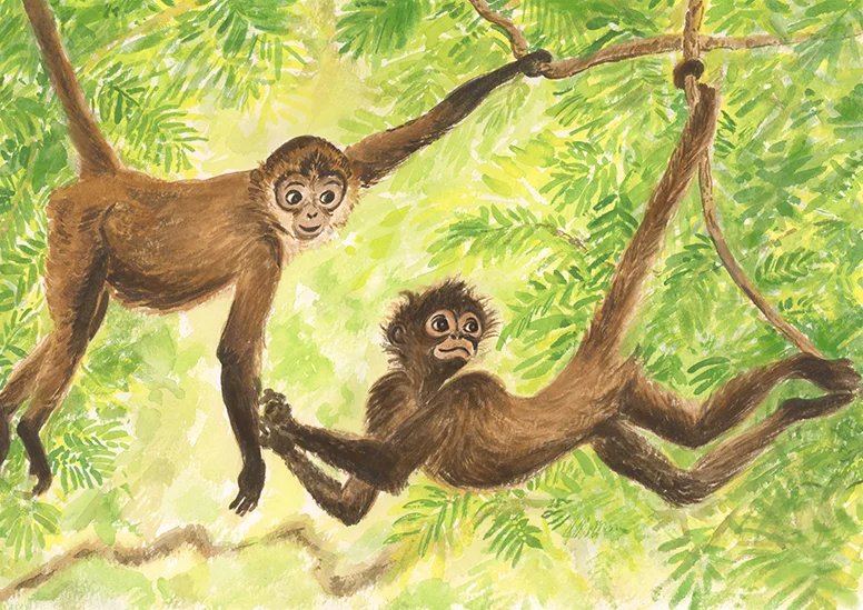 Funky Monkeys