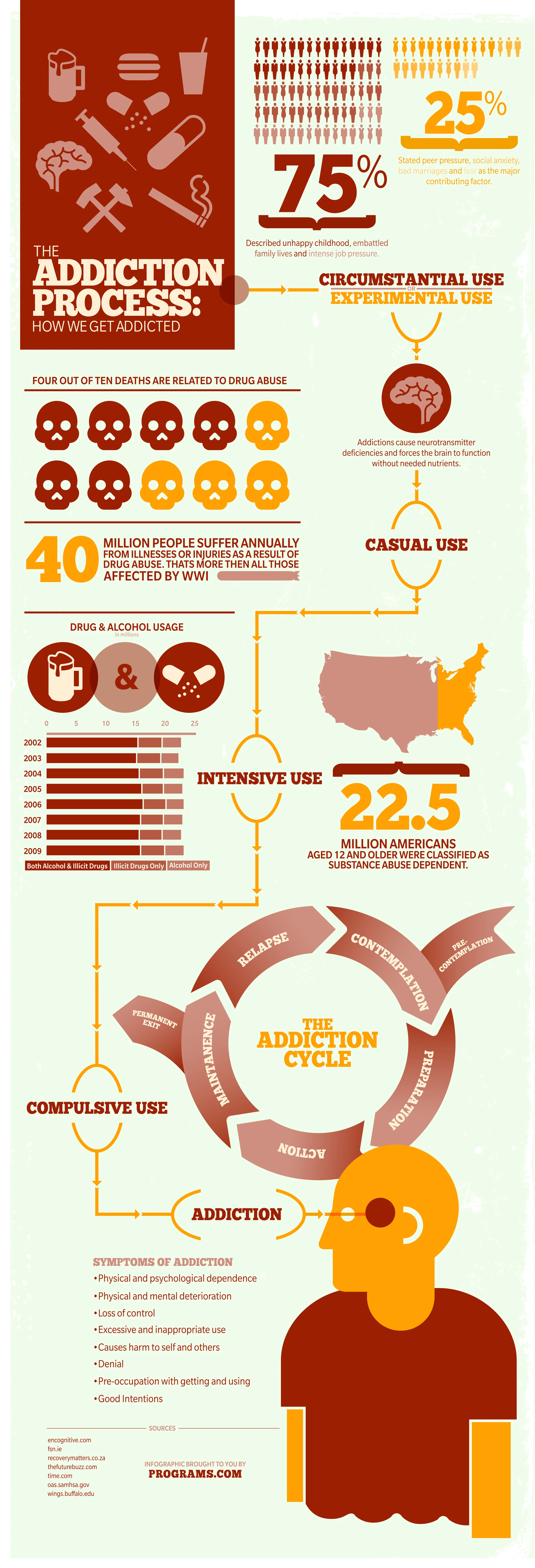The Addiction Process Infographic