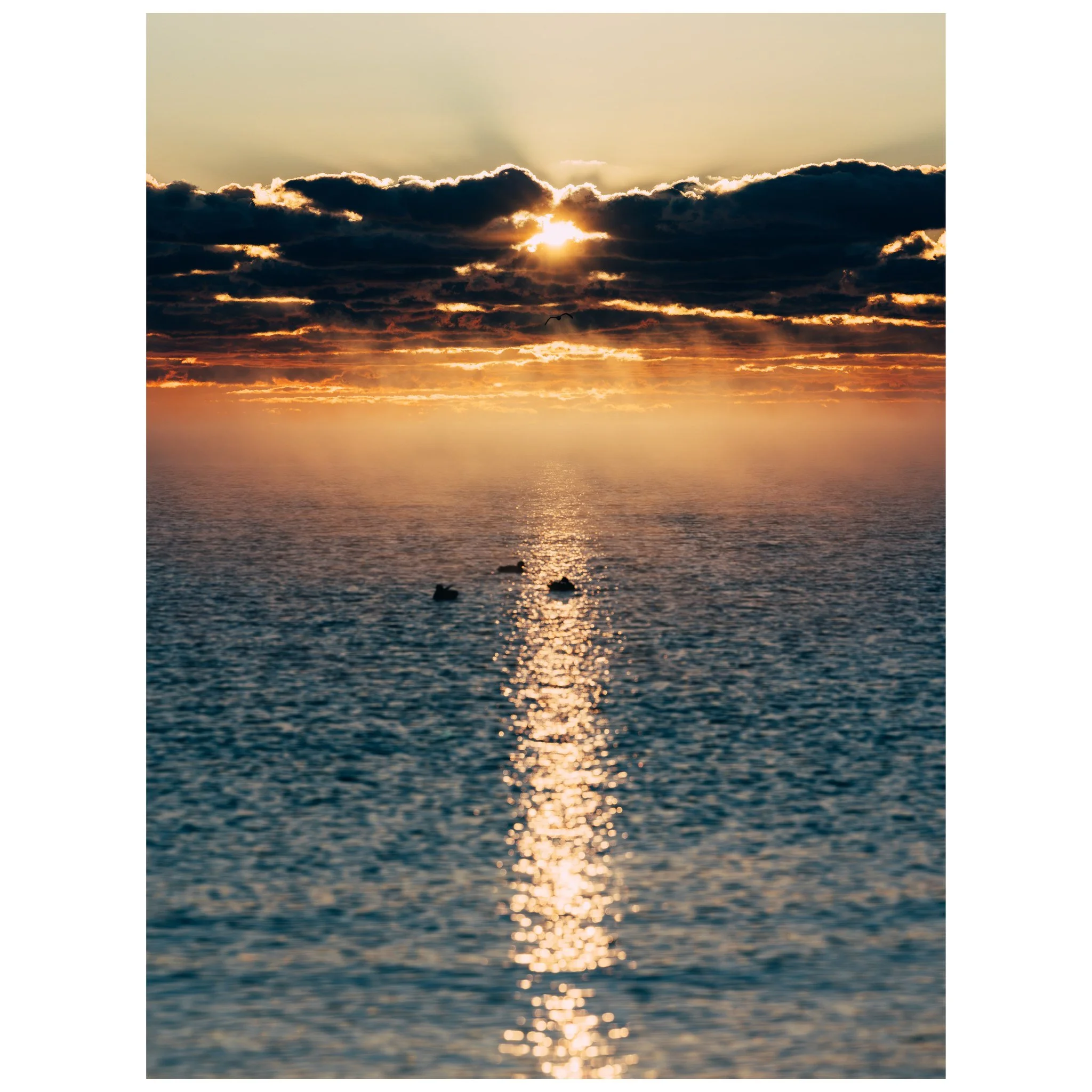 📸 F&aring; dine billeder ud af sk&aelig;rmen og op p&aring; v&aelig;ggen 📸

Dine bedste billeder fortjener mere end at samle st&oslash;v p&aring; harddisken. Der er utallige m&aring;der at printe dem p&aring; &ndash; fra eksklusive fine art prints 