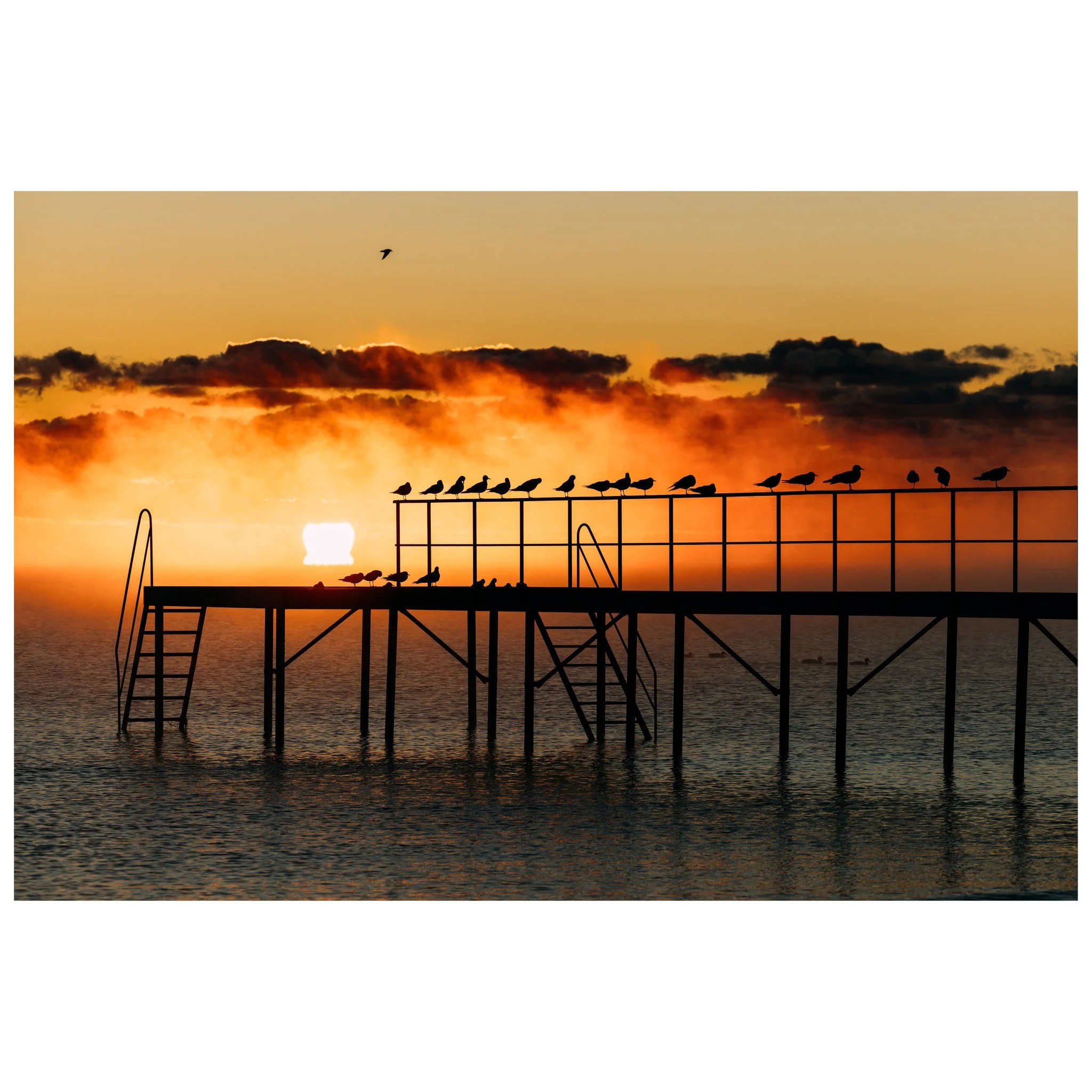 Det perfekte match: digitalt + fysisk 📸

Du bruger tid p&aring; at tage billeder. Redigere dem. L&aelig;gge dem p&aring; sociale medier. Men hvad s&aring; bagefter?

Ved at printe dine billeder skaber du en bro mellem den digitale og fysiske verden.