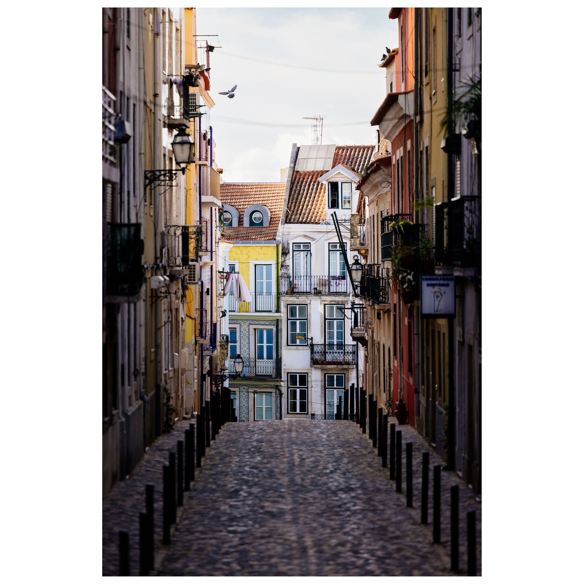 Narrow 📸

&copy; 2025, CLAUS SALL PHOTOGRAPHY
www.claussall.com
🚫 Not AI generated

Contact me on:
📞 23 90 11 69 
📧 cs@claussall.com

--------------------------------
Location : Lissabon
Camera : Canon EOS R5 
Lens : Canon RF 70-200mm f/2.8 L IS 