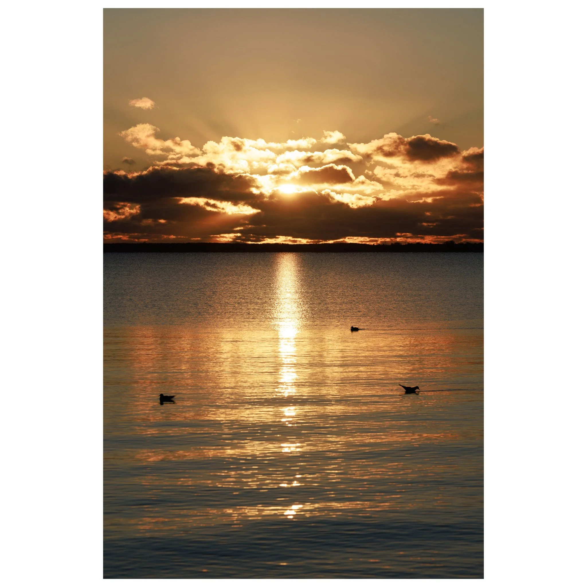 The way I wake 📸

&copy; 2025, CLAUS SALL PHOTOGRAPHY
www.claussall.com
🚫 Not AI generated

Contact me on:
📞 23 90 11 69 
📧 cs@claussall.com

--------------------------------
Location : K&oslash;ge
Camera : CANON EOS R5
Lens : Canon RF 70-200mm f