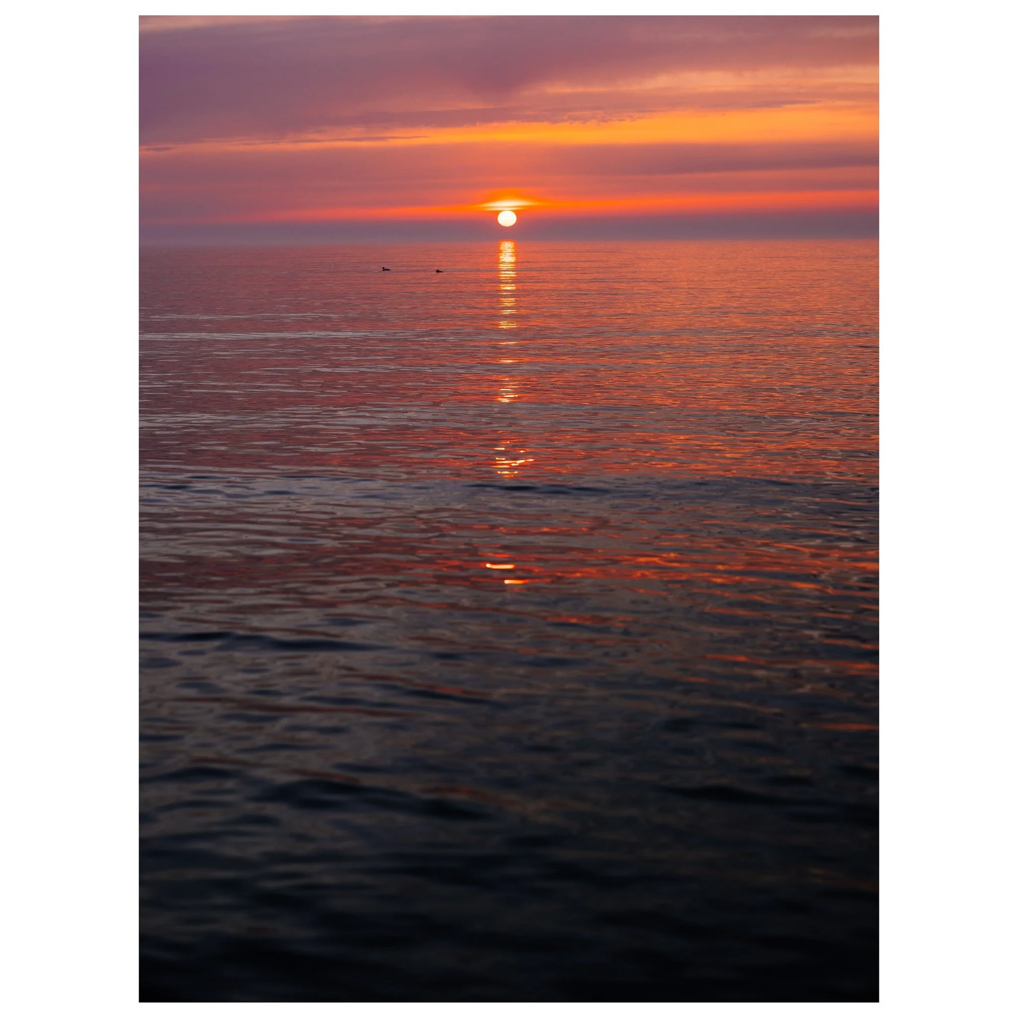 Liquid perfection 📸

&copy; 2025, CLAUS SALL PHOTOGRAPHY
www.claussall.com
🚫 Not AI generated

Contact me on:
📞 23 90 11 69 
📧 cs@claussall.com

--------------------------------
Location : K&oslash;ge
Camera : Fujifilm GFX 50S II
Lens : FUJINON G