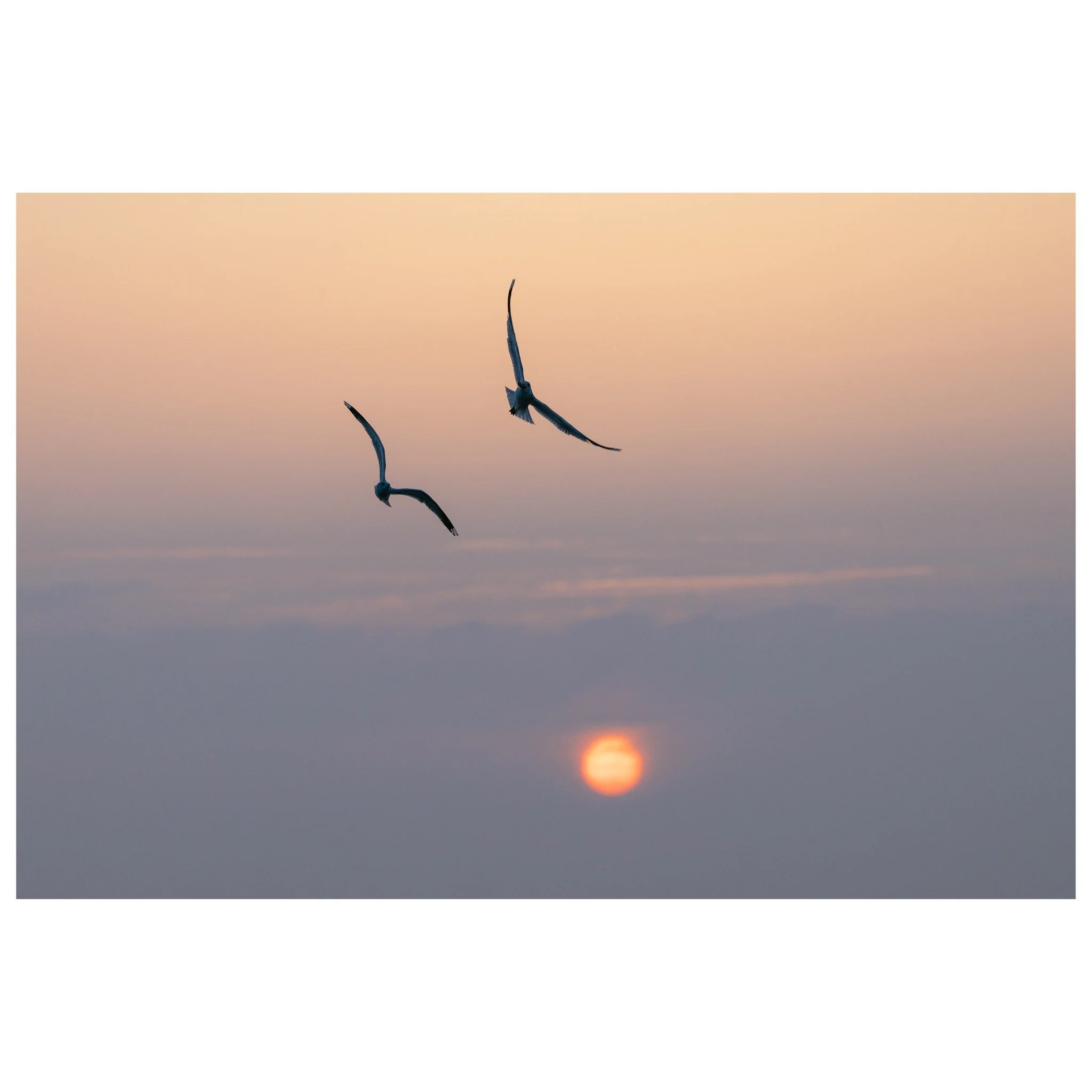 The slow start 📸 🙏🏻

&copy; 2025, CLAUS SALL PHOTOGRAPHY
www.claussall.com
🚫 Not AI generated

Contact me on:
📞 23 90 11 69 
📧 cs@claussall.com

--------------------------------
Location : K&oslash;ge
Camera : CANON EOS R6 III
Lens : Canon RF 7