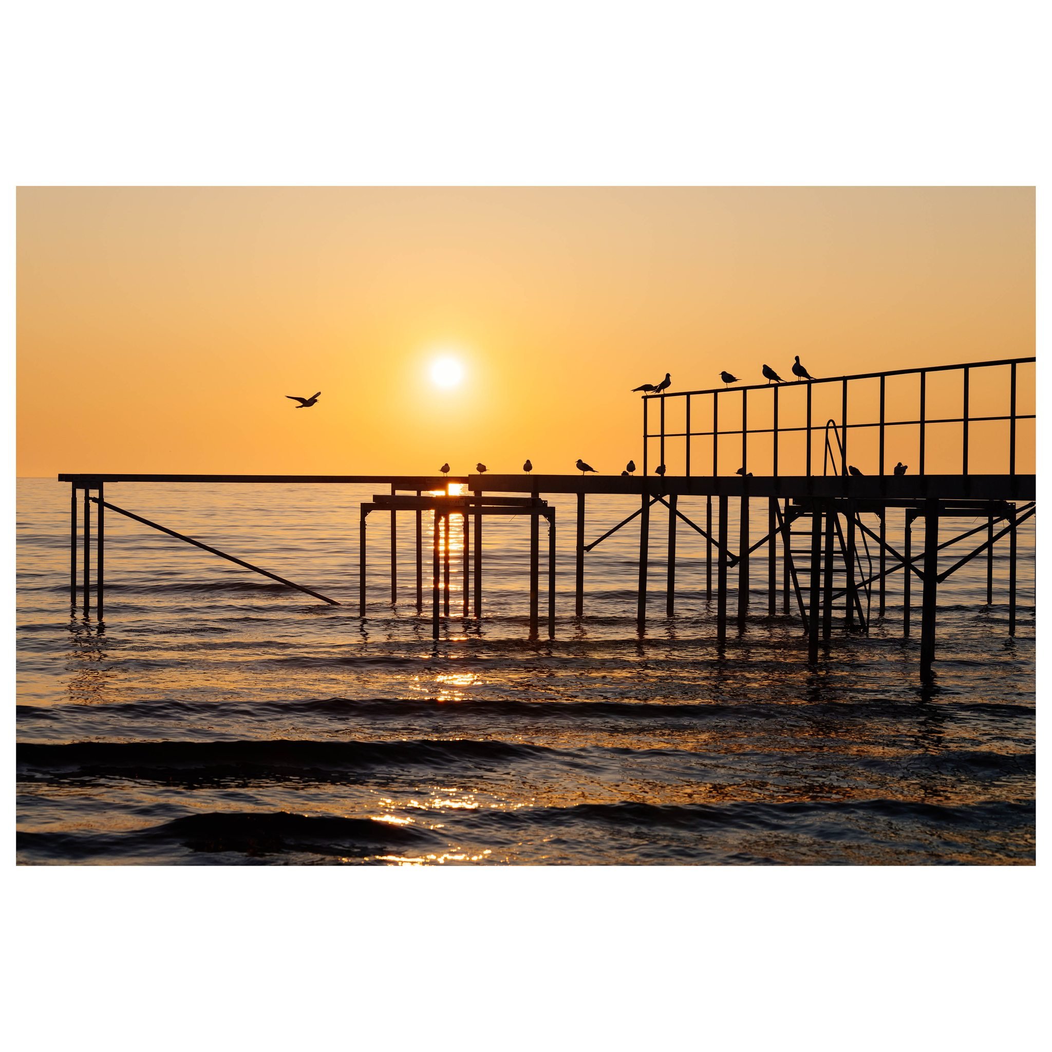 Landing in light 🌞

&copy; 2025, CLAUS SALL PHOTOGRAPHY
www.claussall.com
🚫 Not AI generated

Contact me on:
📞 23 90 11 69 
📧 cs@claussall.com

--------------------------------
Location : K&oslash;ge
Camera : CANON EOS R6 III
Lens : Canon RF 70-2