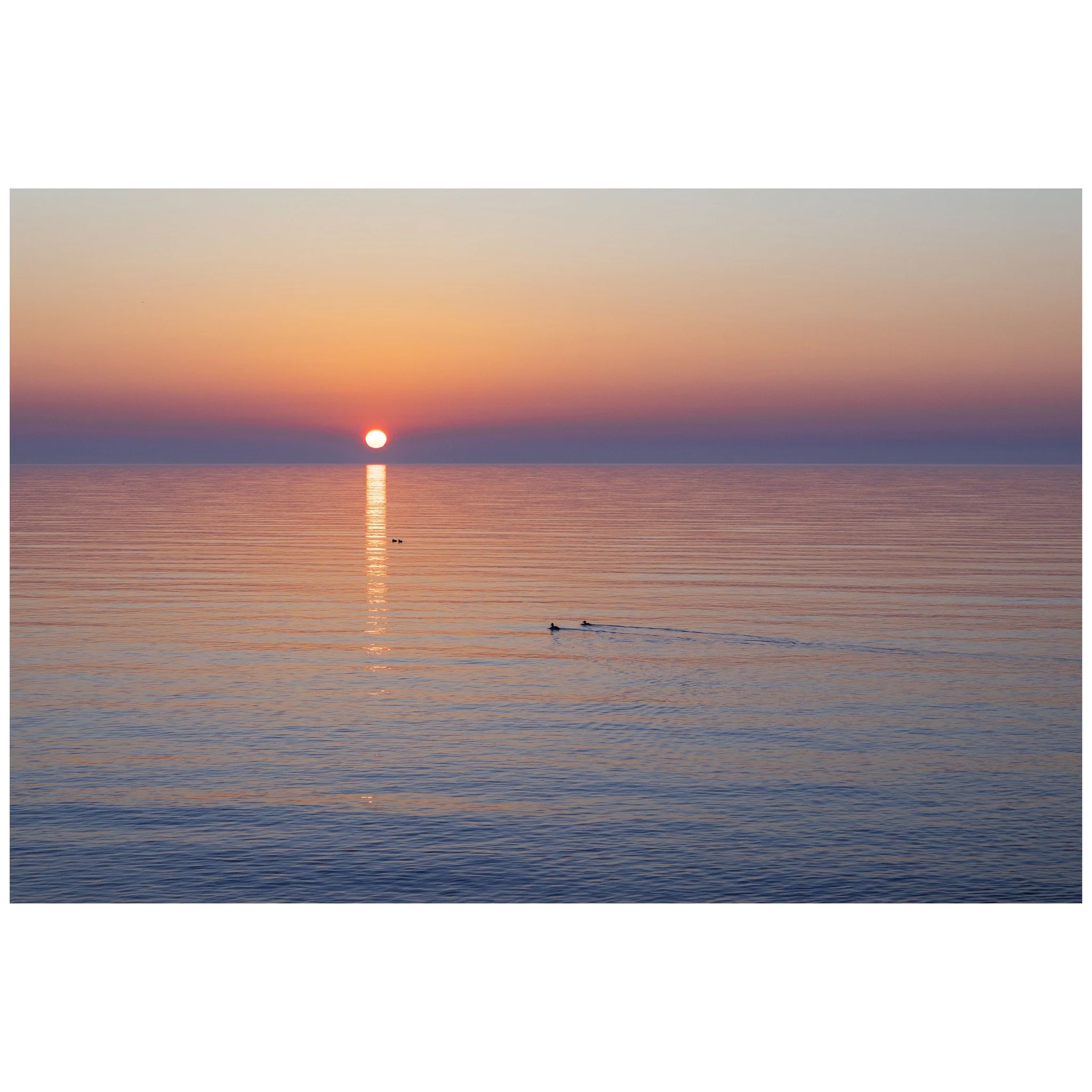 Stillness is the key 📸

&copy; 2025, CLAUS SALL PHOTOGRAPHY
www.claussall.com
🚫 Not AI generated

Contact me on:
📞 23 90 11 69 
📧 cs@claussall.com

--------------------------------
Location : K&oslash;ge
Camera : CANON EOS R6 III
Lens : Canon RF 