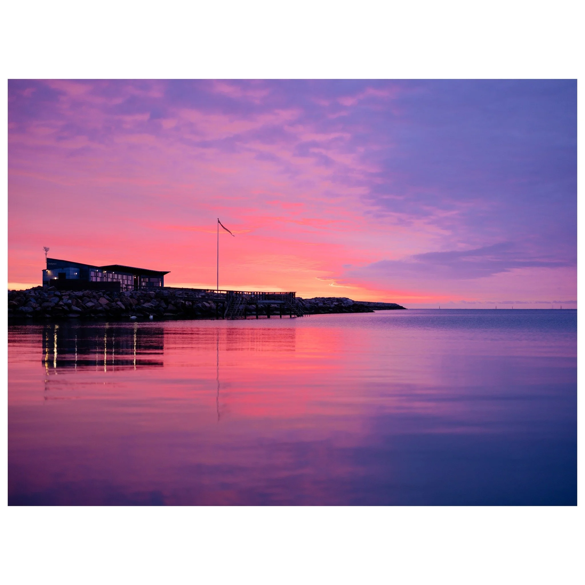 Purple perfection 📸

&copy; 2025, CLAUS SALL PHOTOGRAPHY
www.claussall.com
🚫 Not AI generated

Contact me on:
📞 23 90 11 69 
📧 cs@claussall.com

--------------------------------
Location : K&oslash;ge
Camera : Fujifilm GFX 50S II
Lens : FUJINON G