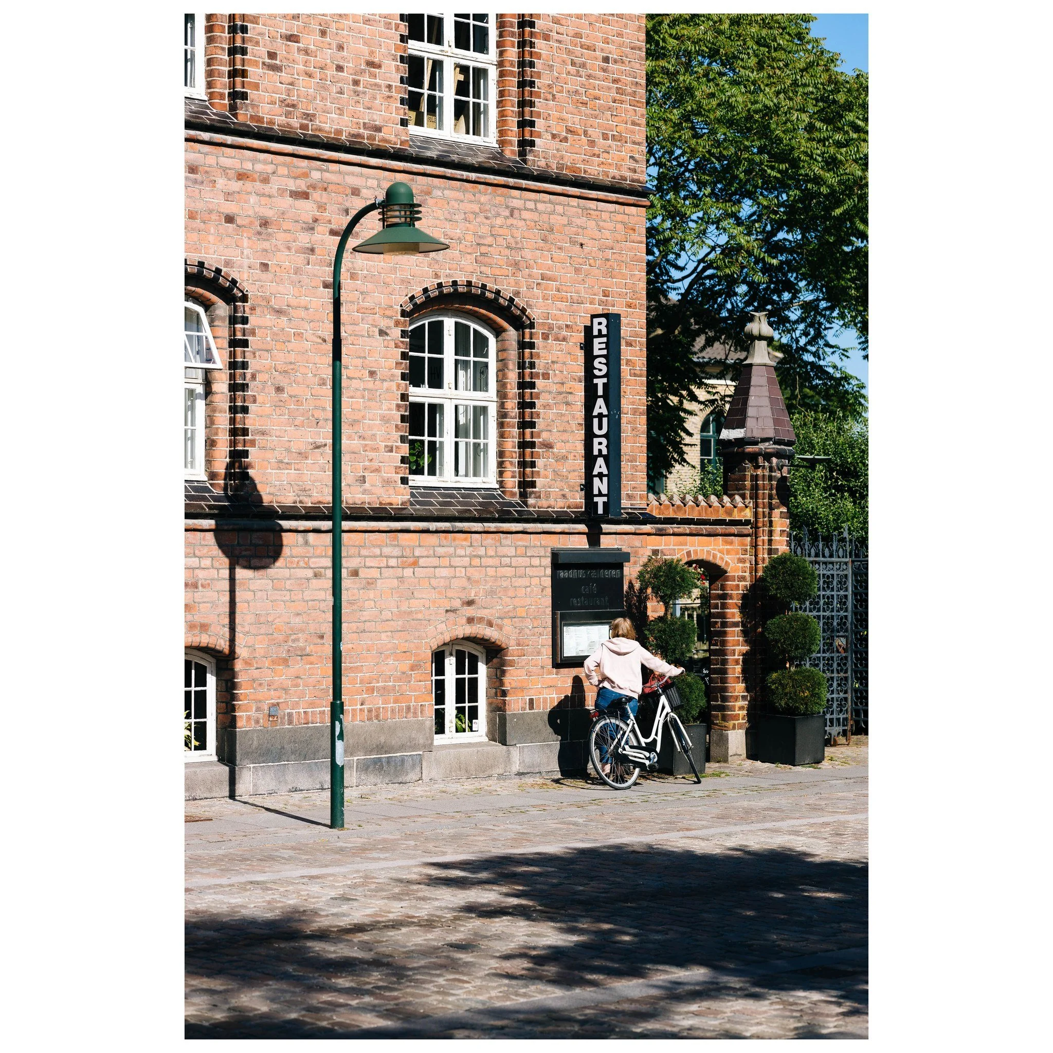 A place in the sun 🌞

&copy; 2025, CLAUS SALL PHOTOGRAPHY
www.claussall.com
🚫 Not AI generated

Contact me on:
📞 23 90 11 69 
📧 cs@claussall.com

--------------------------------
Location : Roskilde
Camera : Fujifilm GFX 50S II
Lens : FUJINON GF 