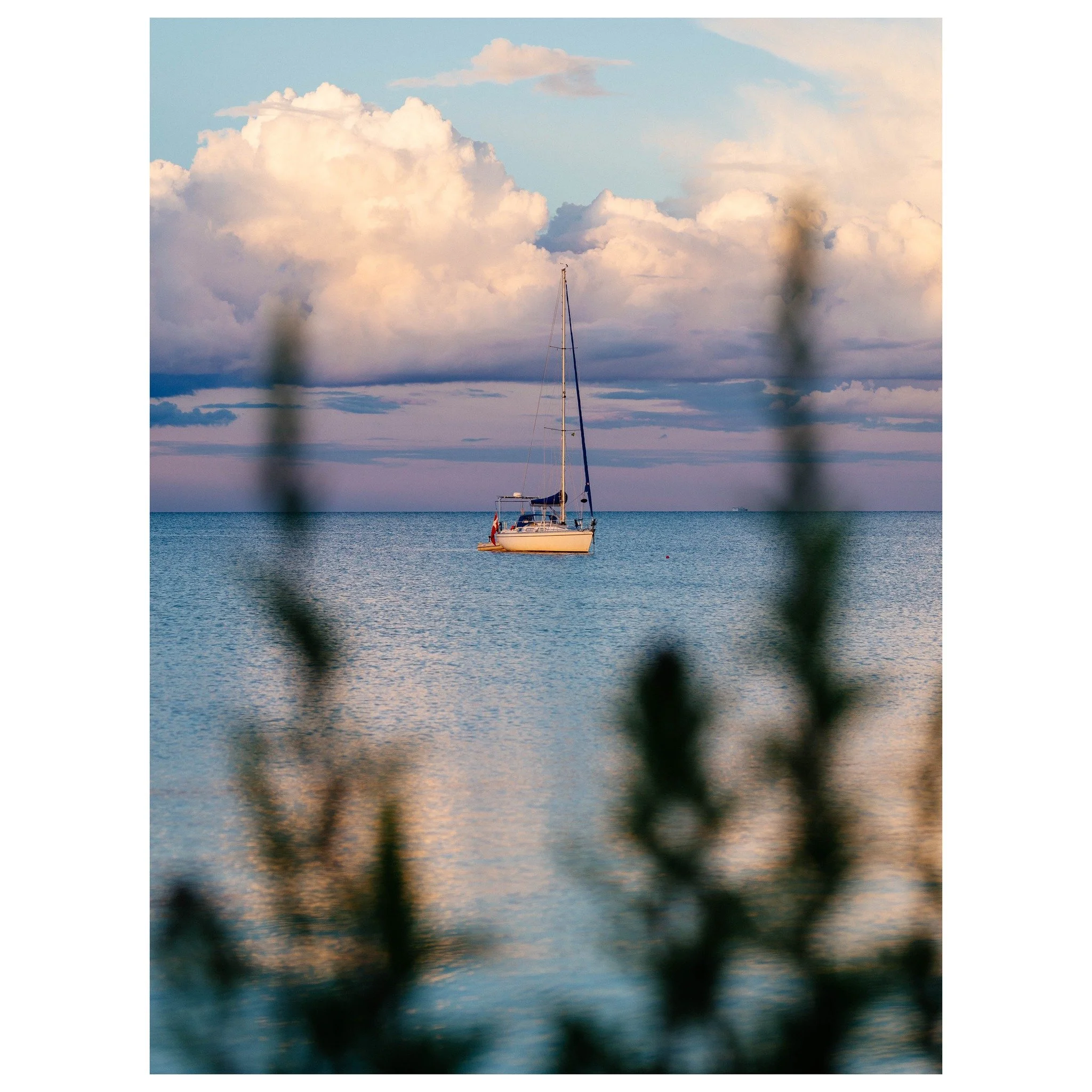 An aching soul finding peace in stillness 📸

&copy; 2025, CLAUS SALL PHOTOGRAPHY
www.claussall.com
🚫 Not AI generated

Contact me on:
📞 23 90 11 69 
📧 cs@claussall.com
--------------------------------
Location : K&oslash;ge
Camera : CANON EOS R6 
