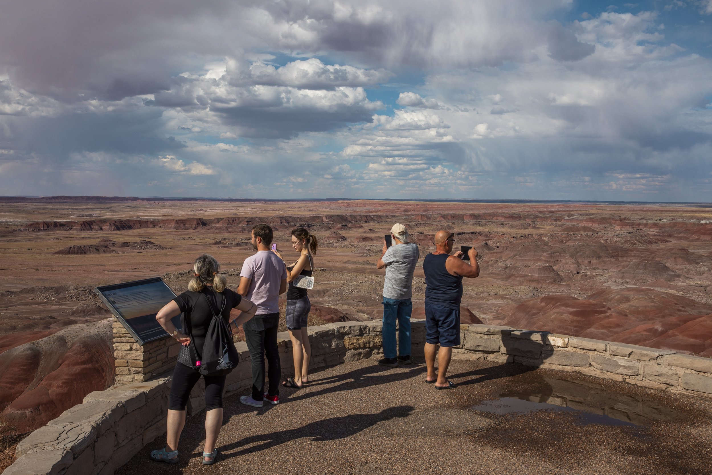 PetrifiedForrest-6583.jpg
