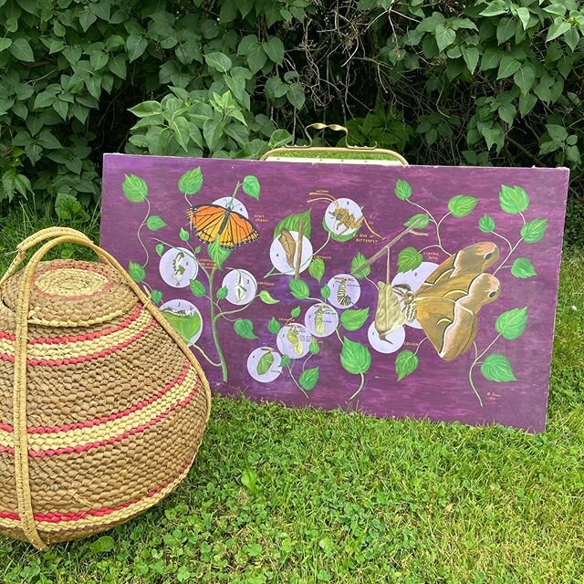Scientific butterfly 🦋 painting and giant lidded basket for your pet cobra 🐍 Cool stuff, indeed. Check it out, and so much more at our grand re-opening and Merc&rsquo;s Open Air Market, June 19 &amp; 20. Mask up, and join the fun 10am to 5pm @maple
