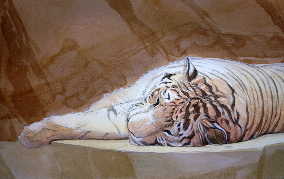 "Repose II" 12" x 24" watercolor on paper ©rolandmechael2014 All rights reserved
