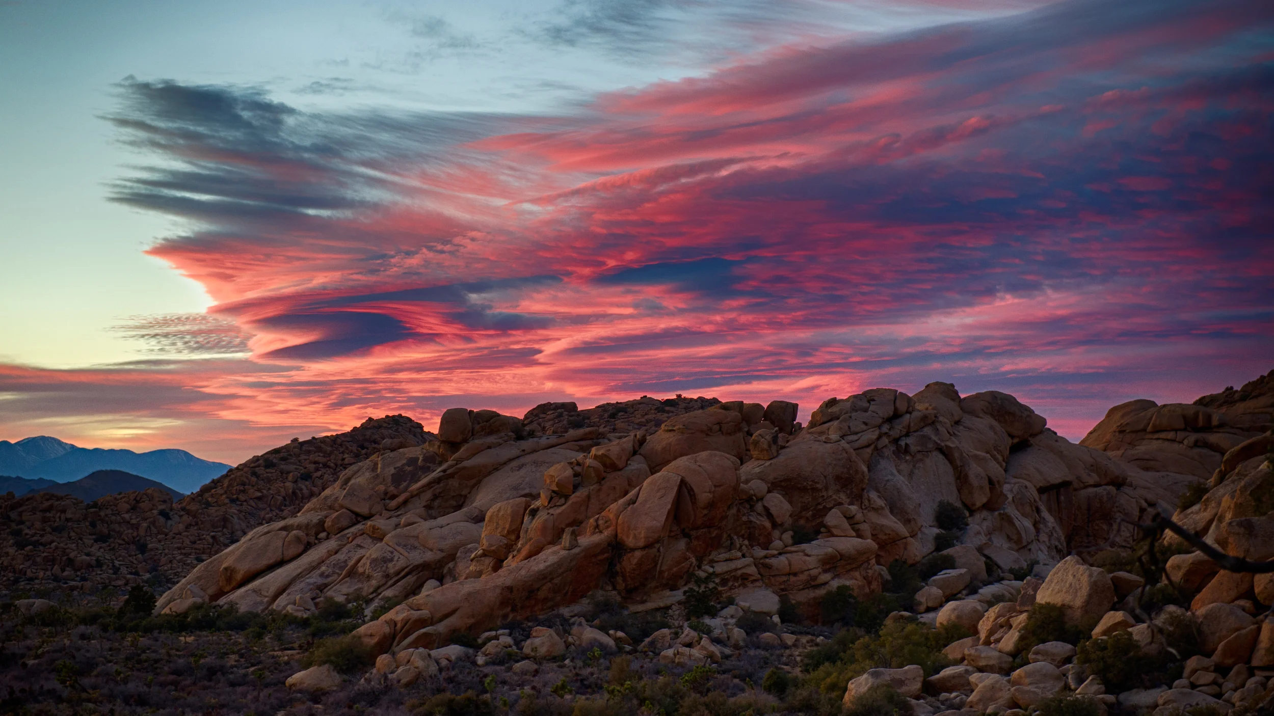Joshua Sunset_2.jpg