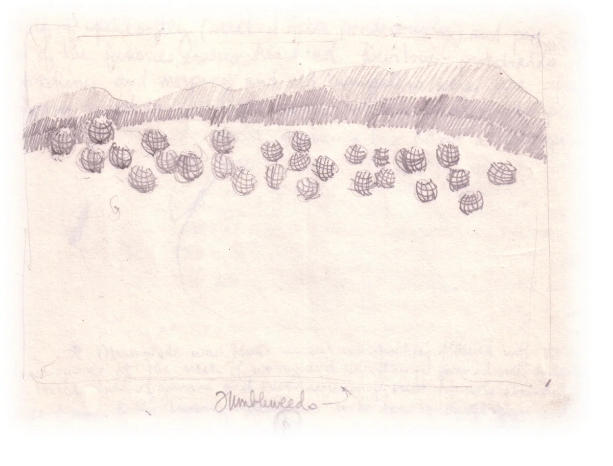 tumbleweed sketch