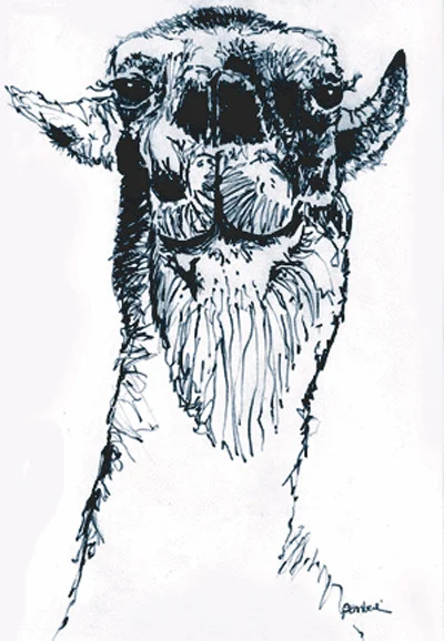Llama Deux ● Framed Archival Print $250.